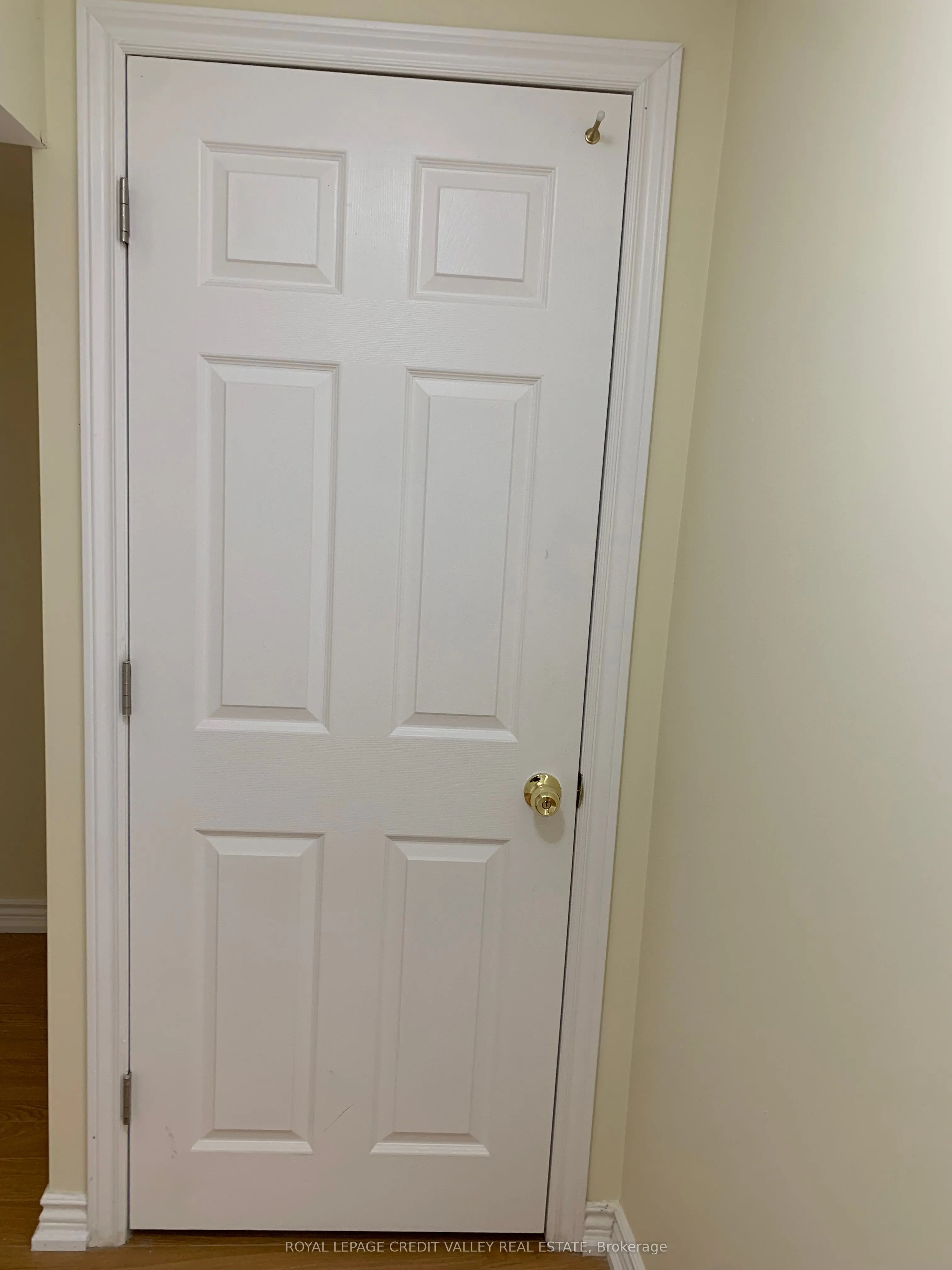 17 Patience Drive
