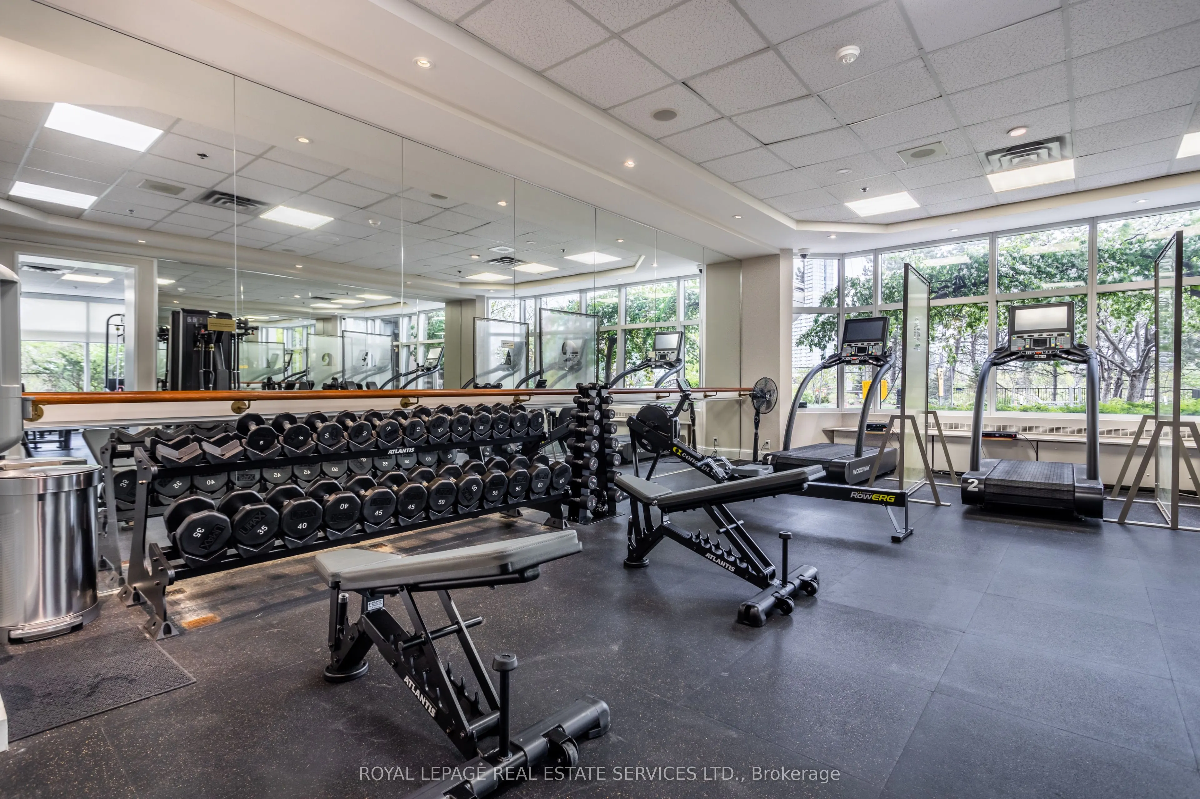 1 Palace Pier Court, #4302
