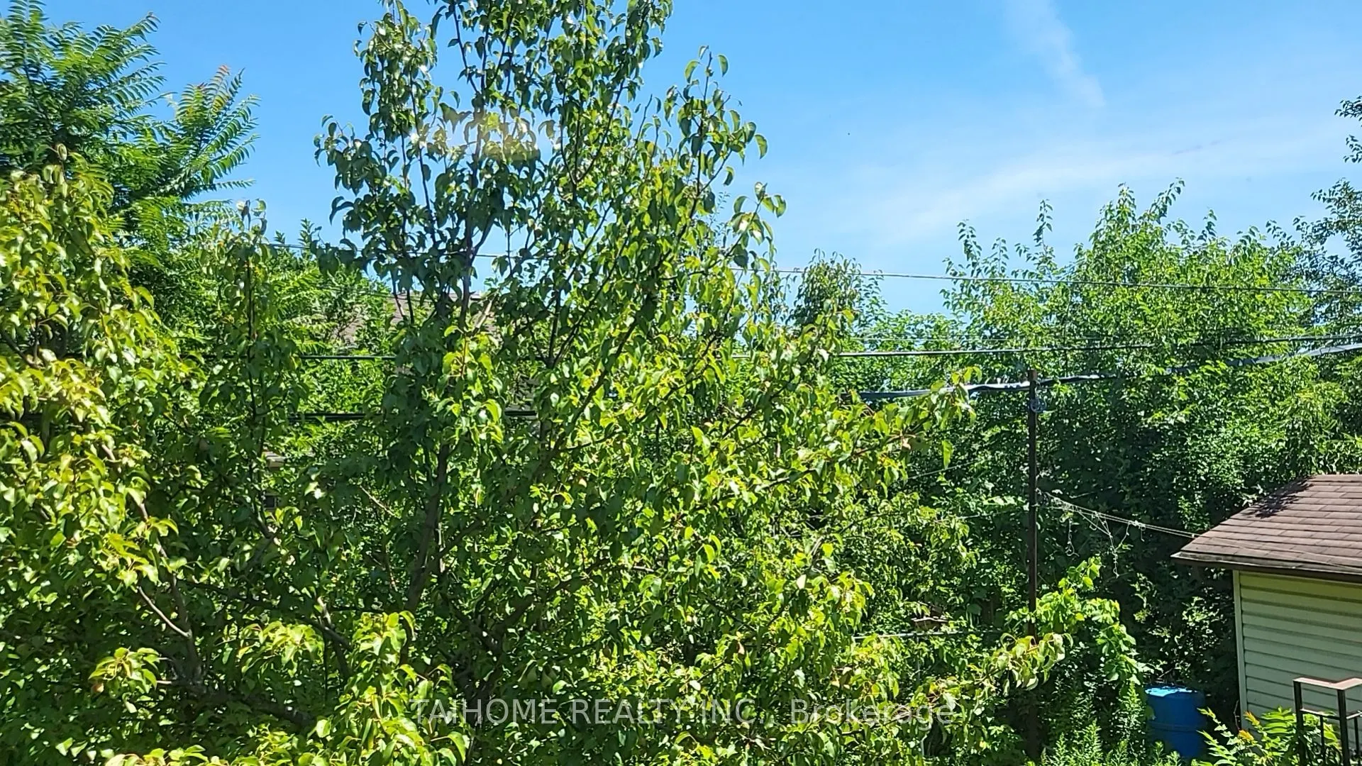 639 Royal York Road