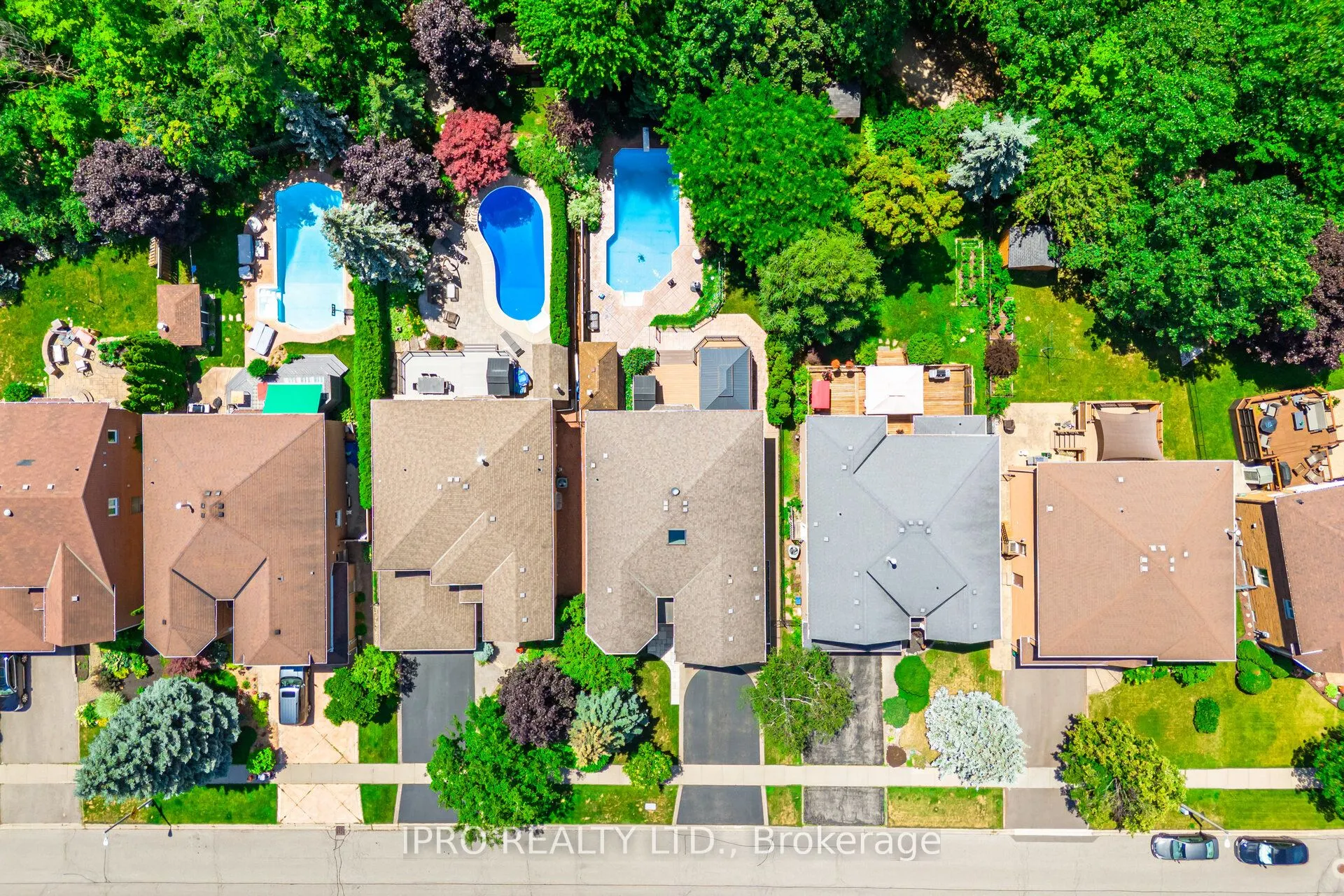 2246 Grand Ravine Drive