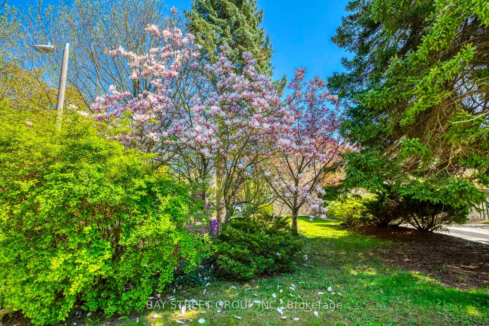 130 All Saints Crescent