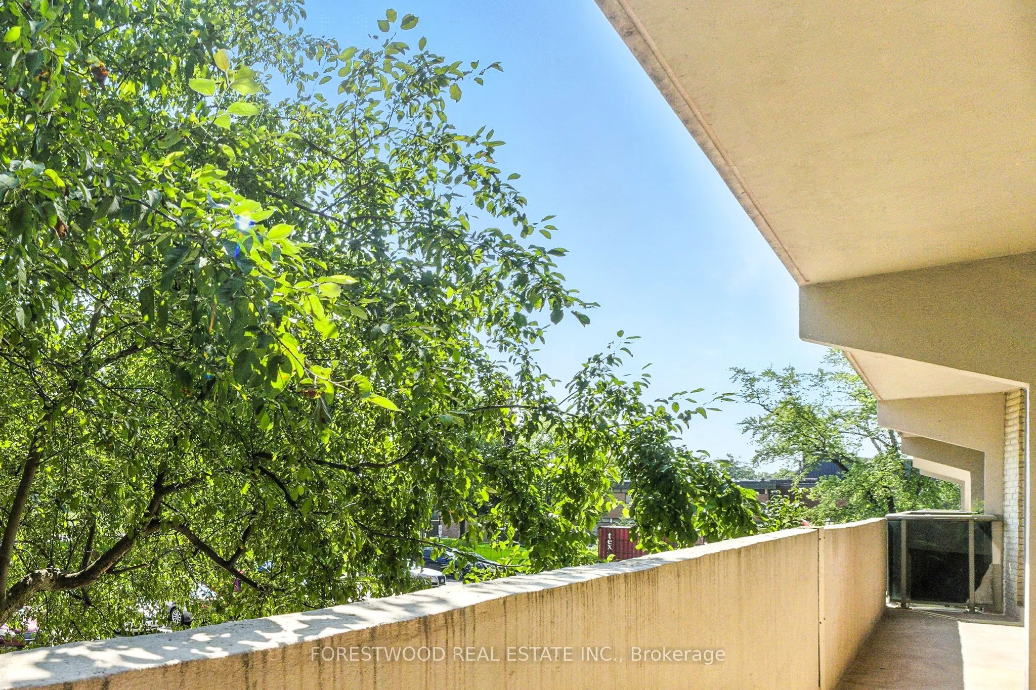 299 Mill Road, #205