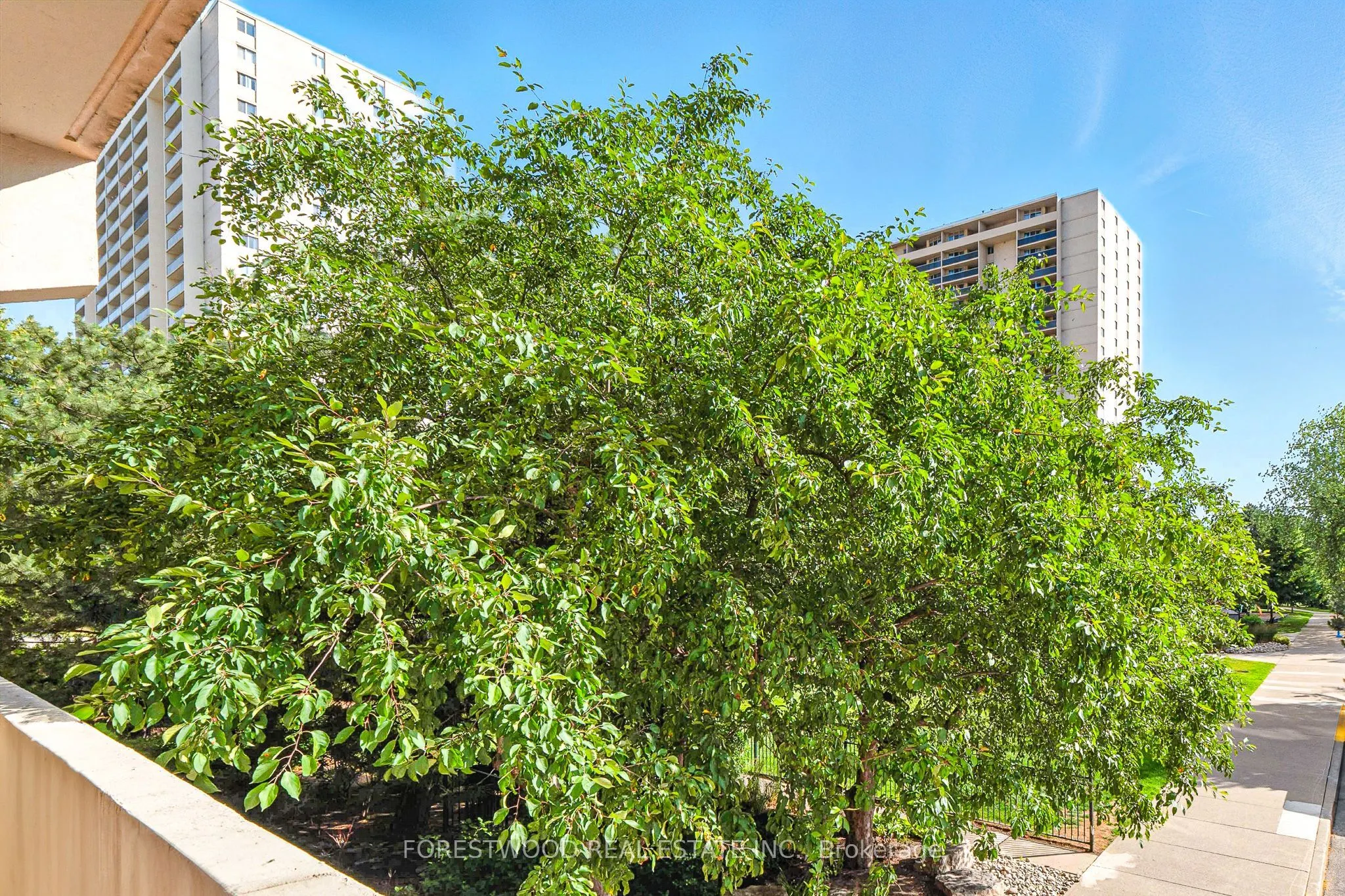 299 Mill Road, #205