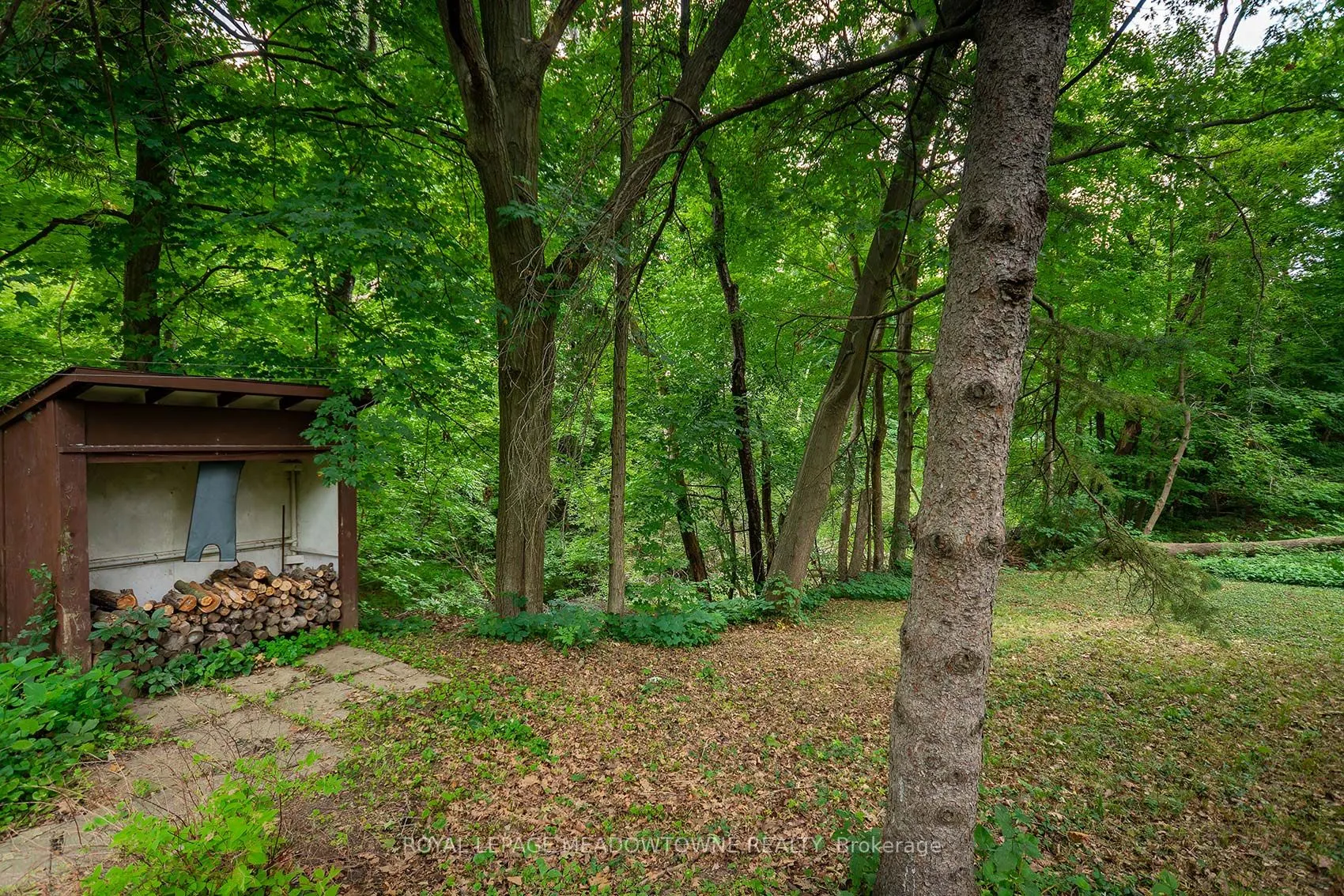 8774 Creditview Road