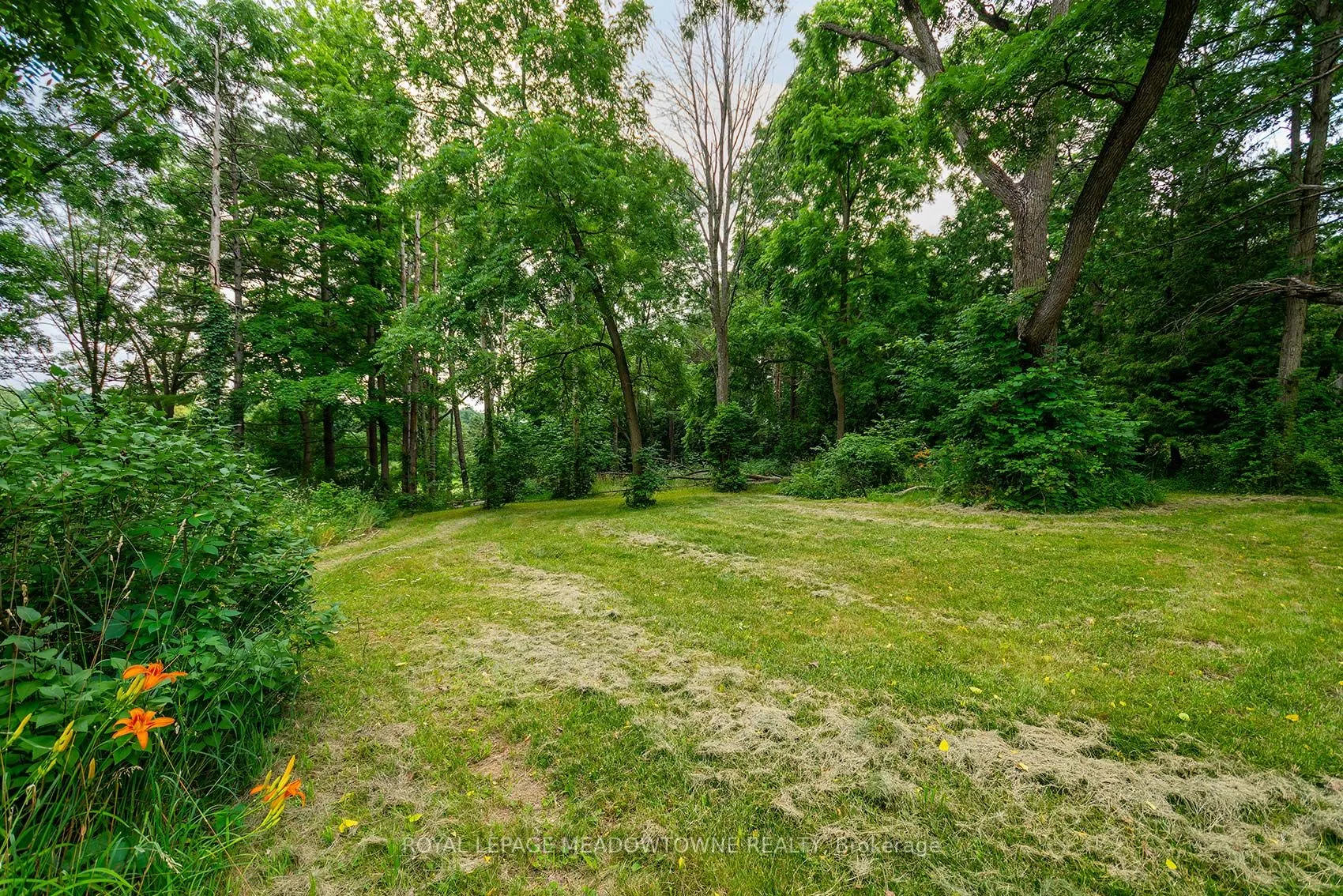 8774 Creditview Road