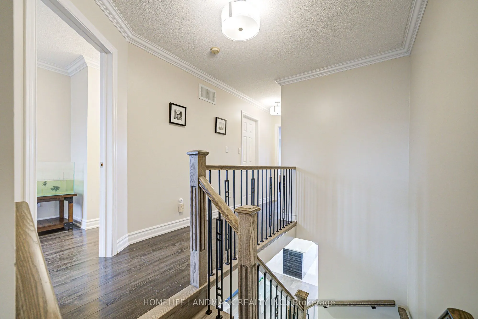 1141 Foxglove Place