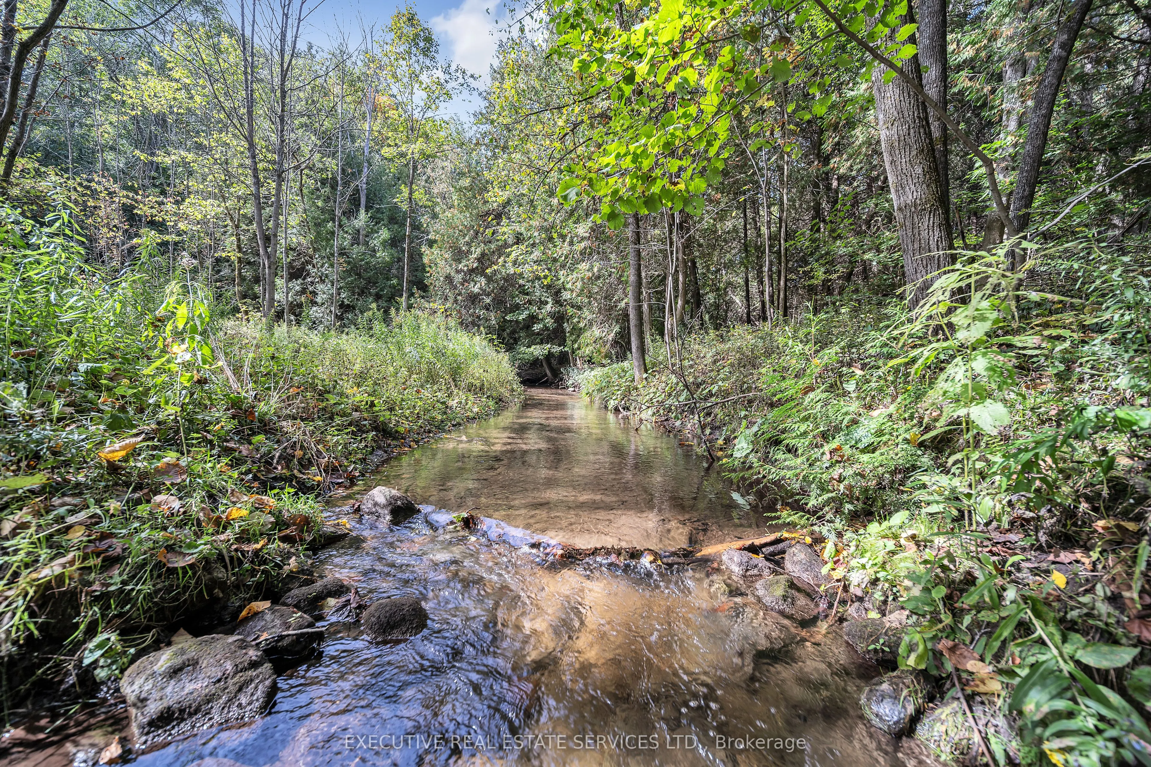 16198 Centreville Creek Road
