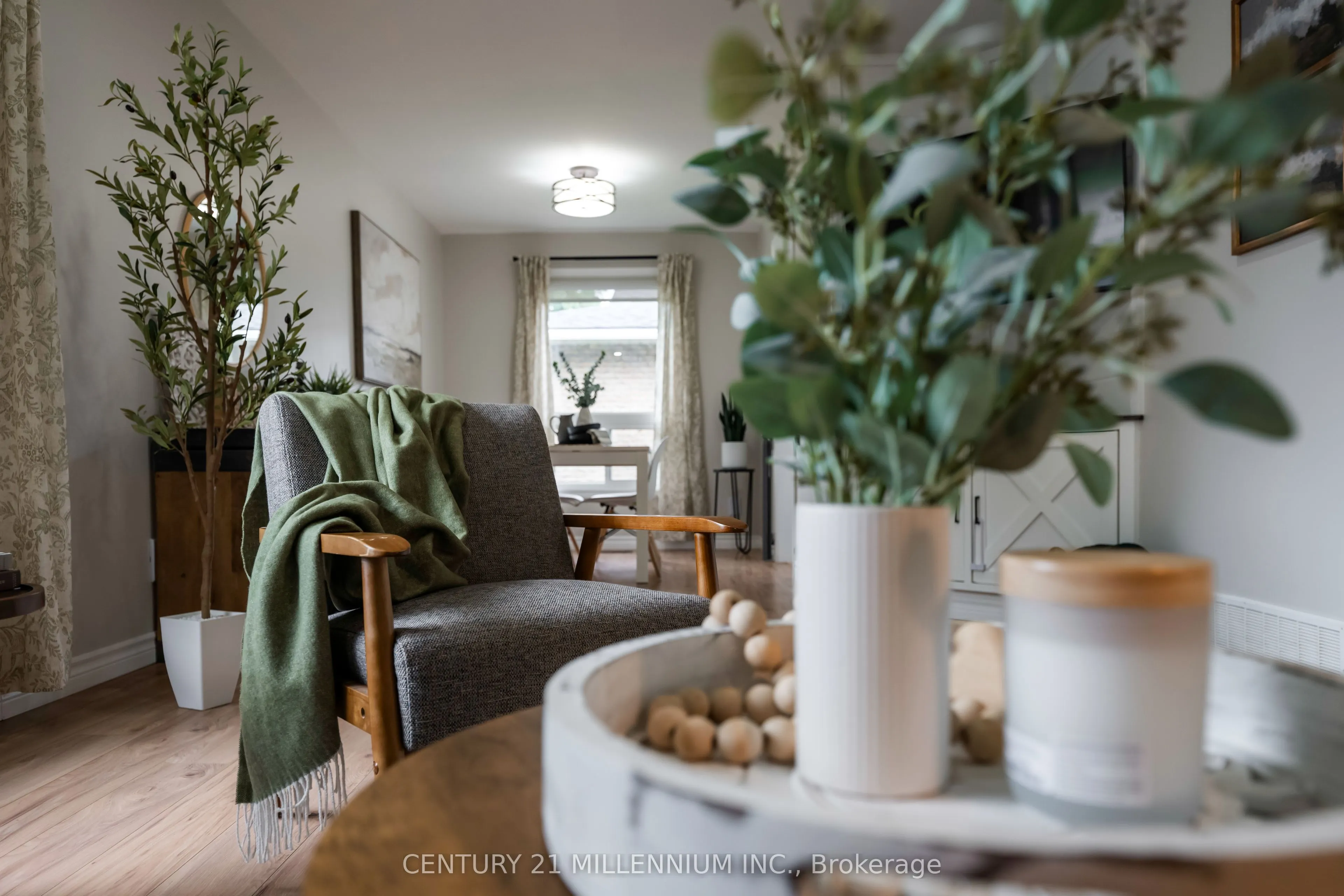 33 Caledonia Road