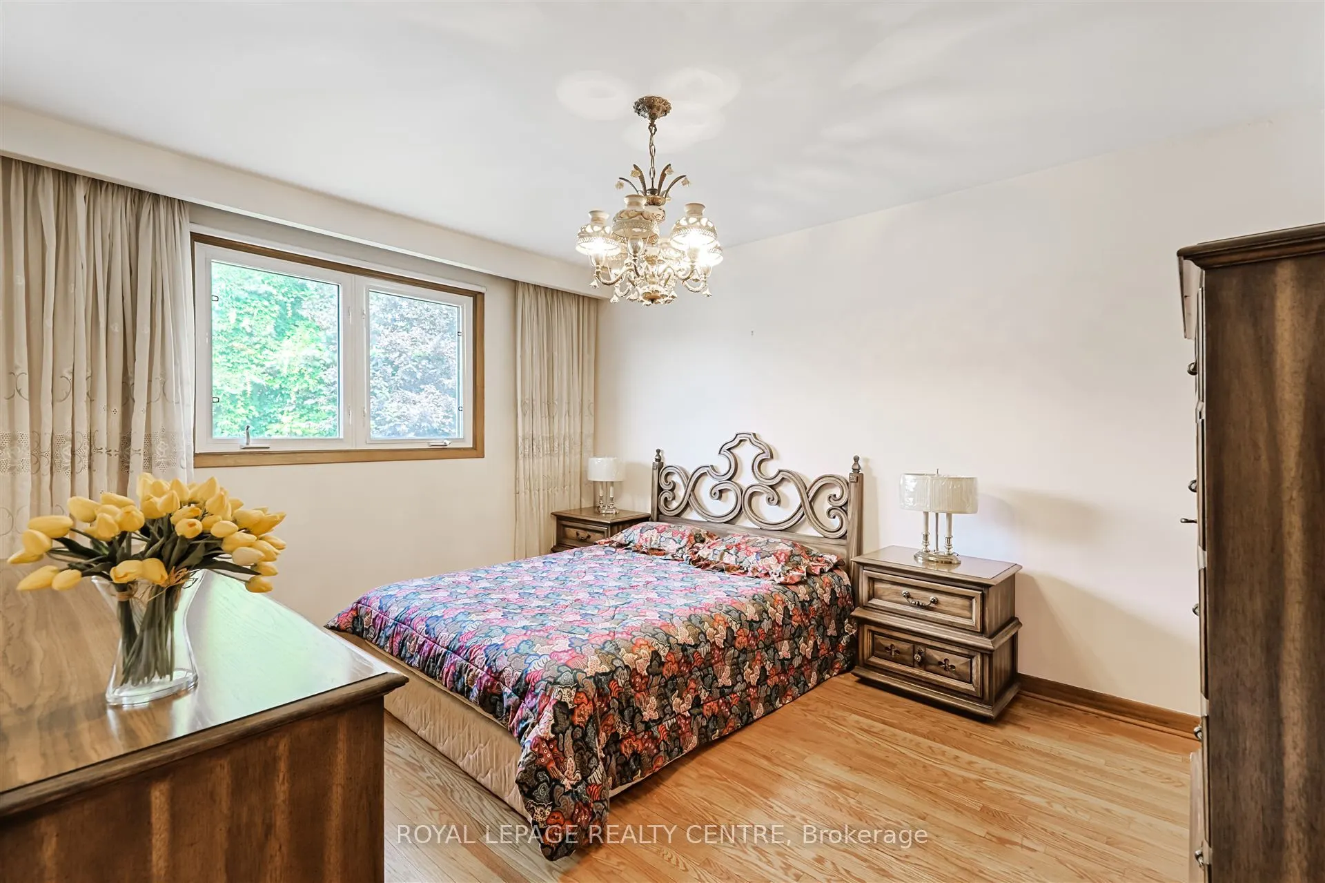 34 Renova Drive