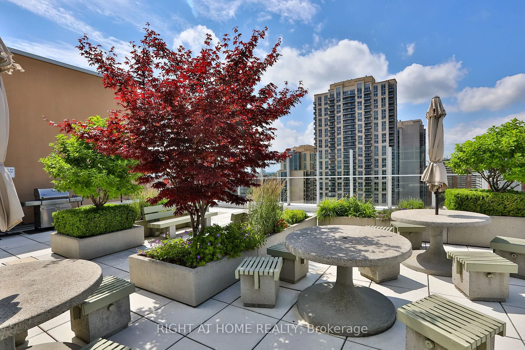 2 Fieldway Road, #313