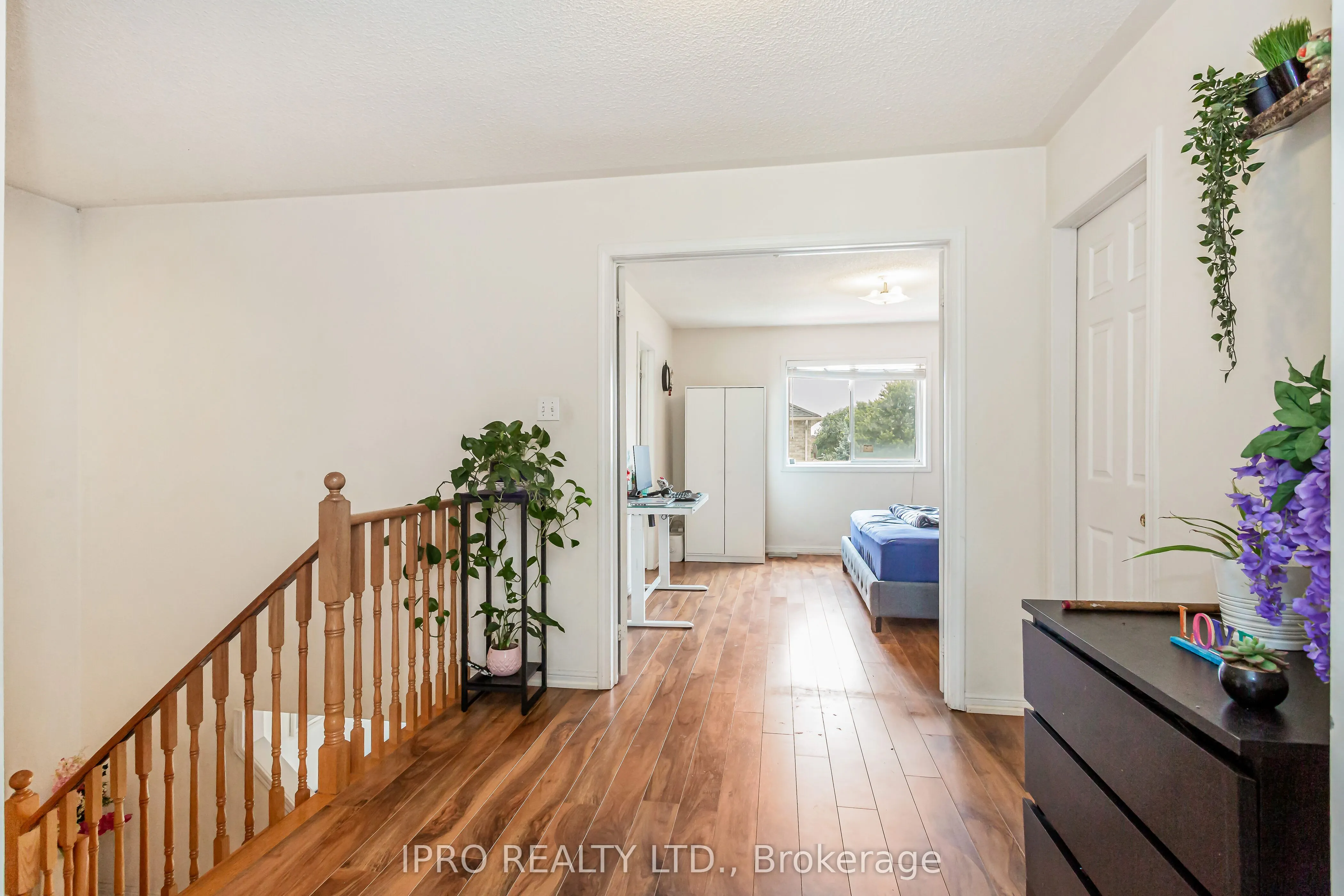 974 Delgado Drive