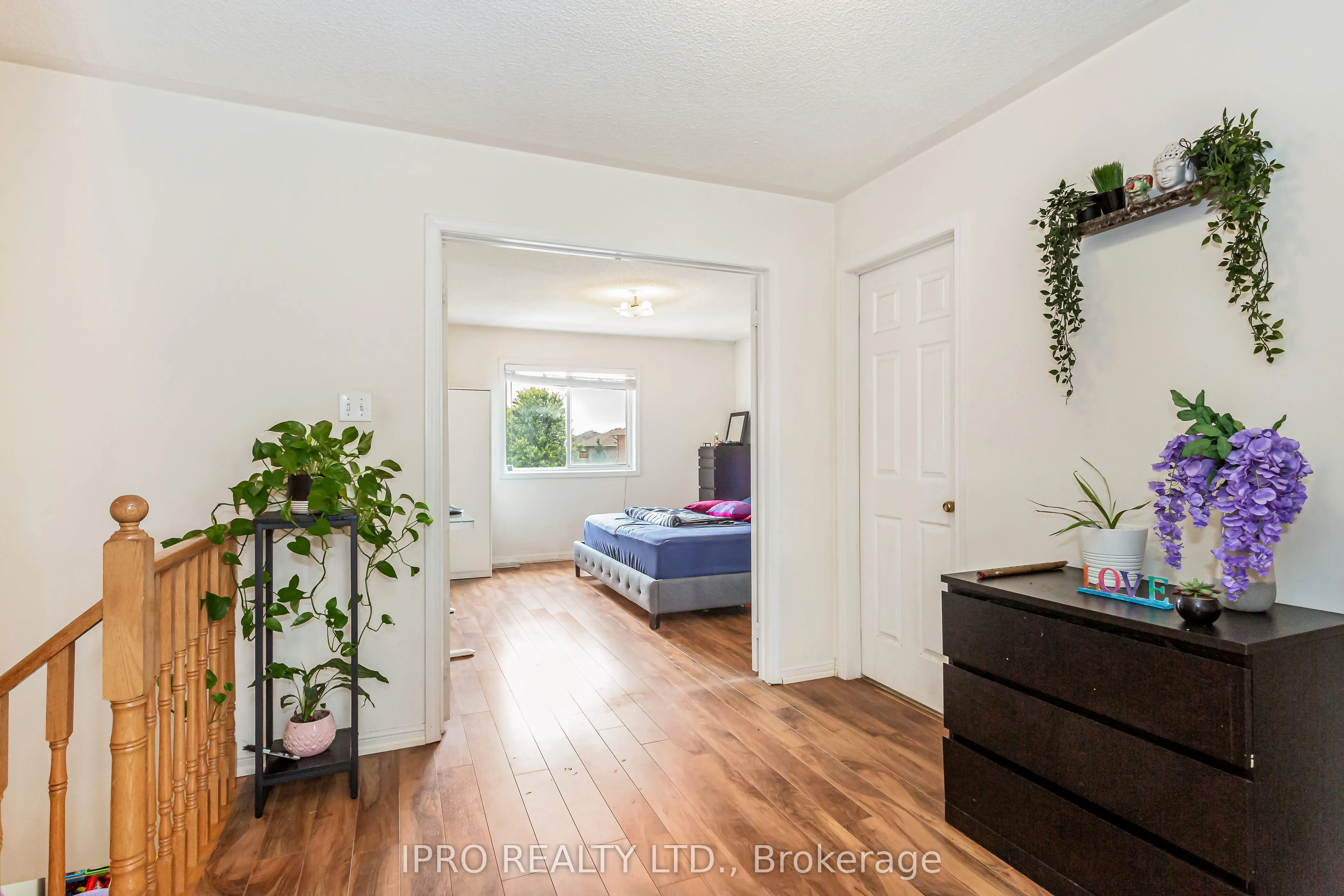 974 Delgado Drive