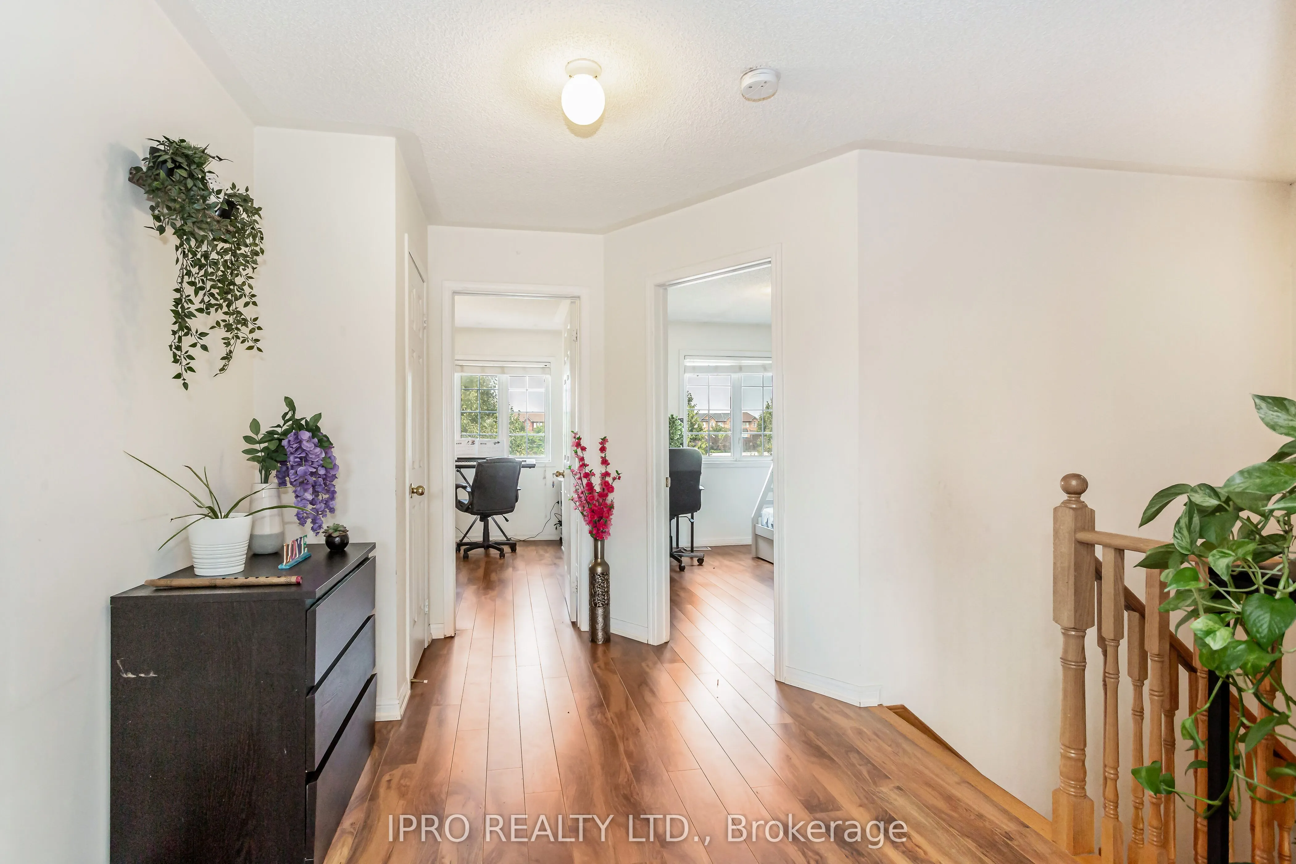 974 Delgado Drive