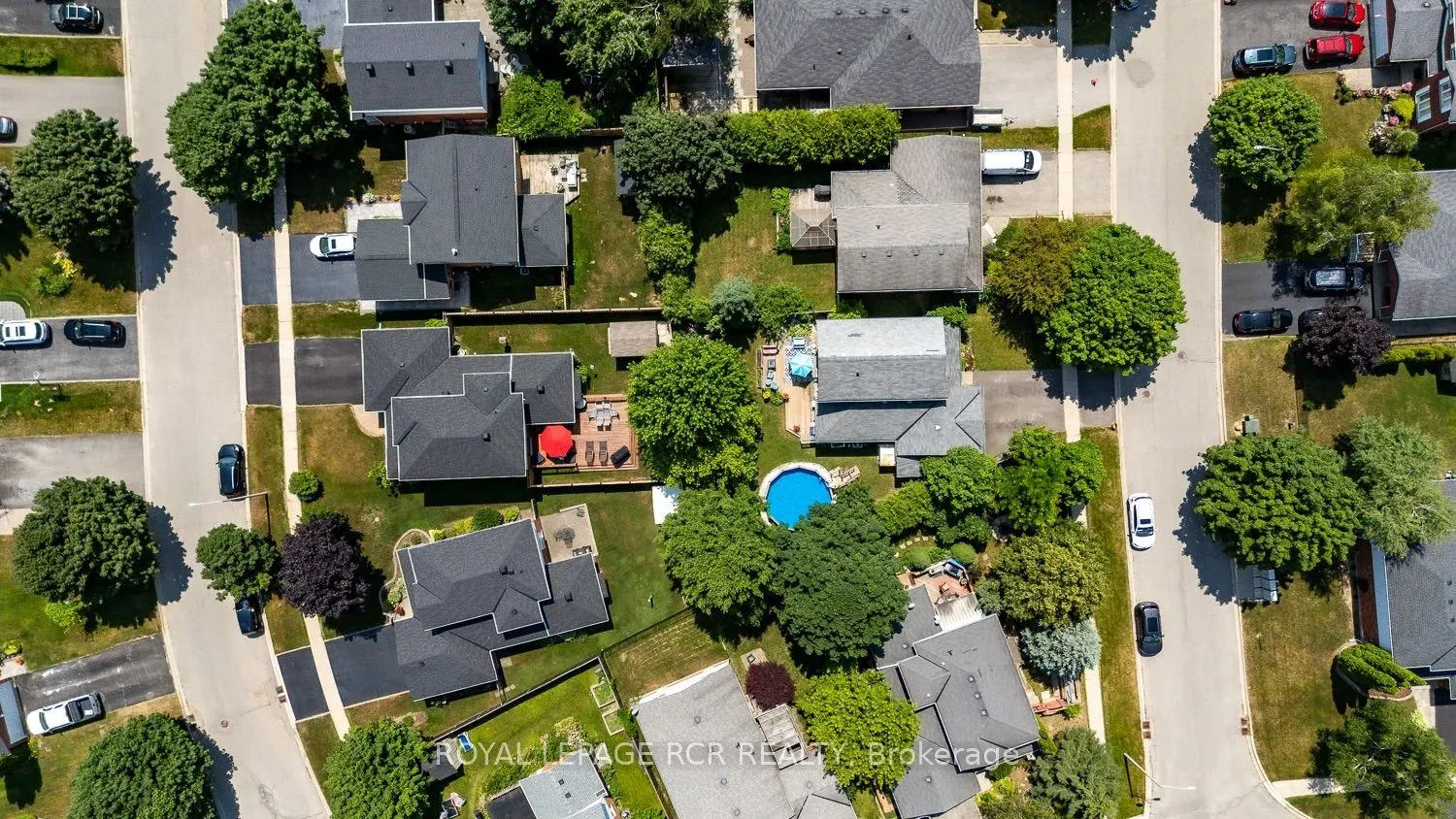 252 Elmwood Crescent