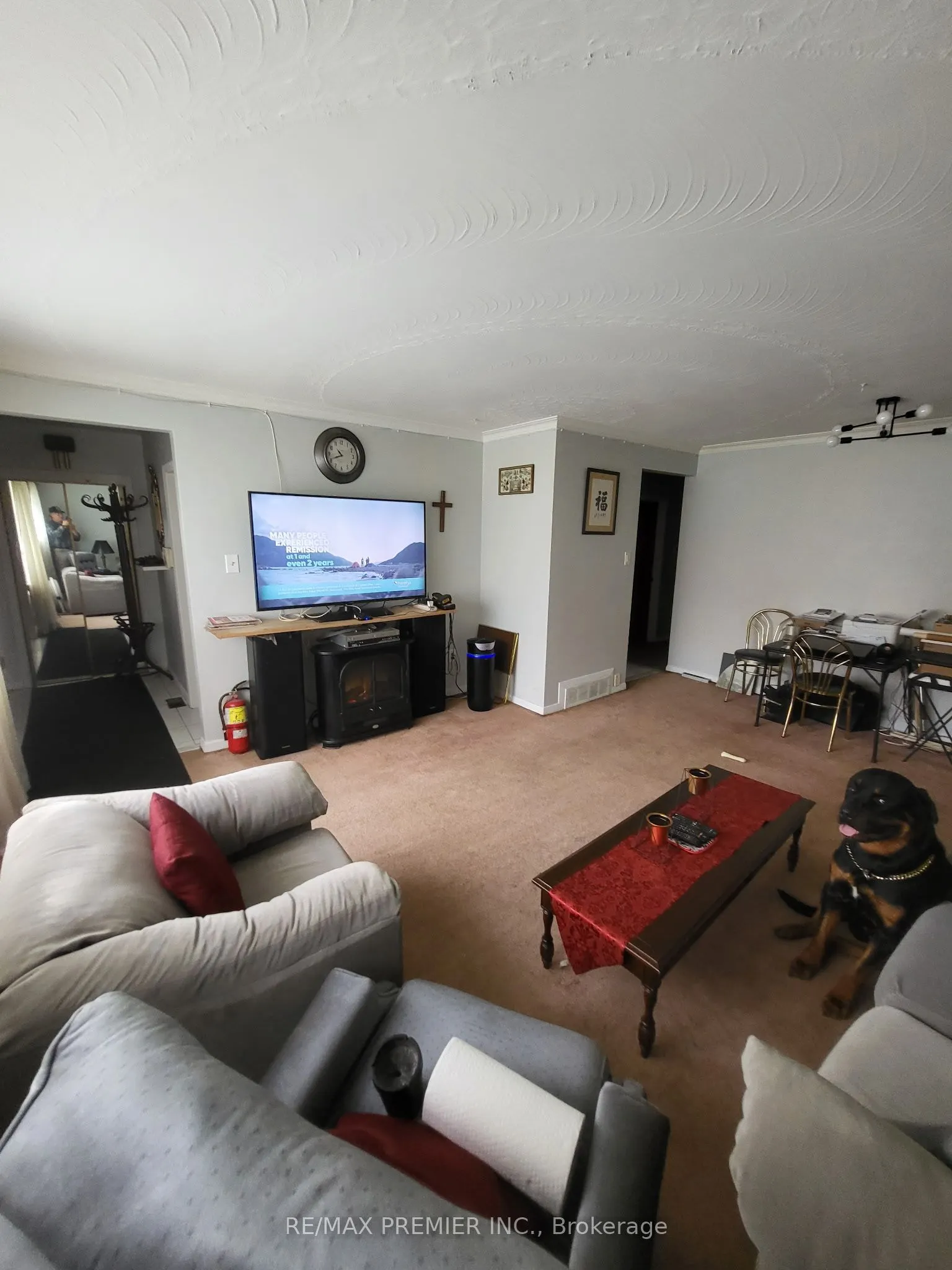 53 Rosefair Crescent