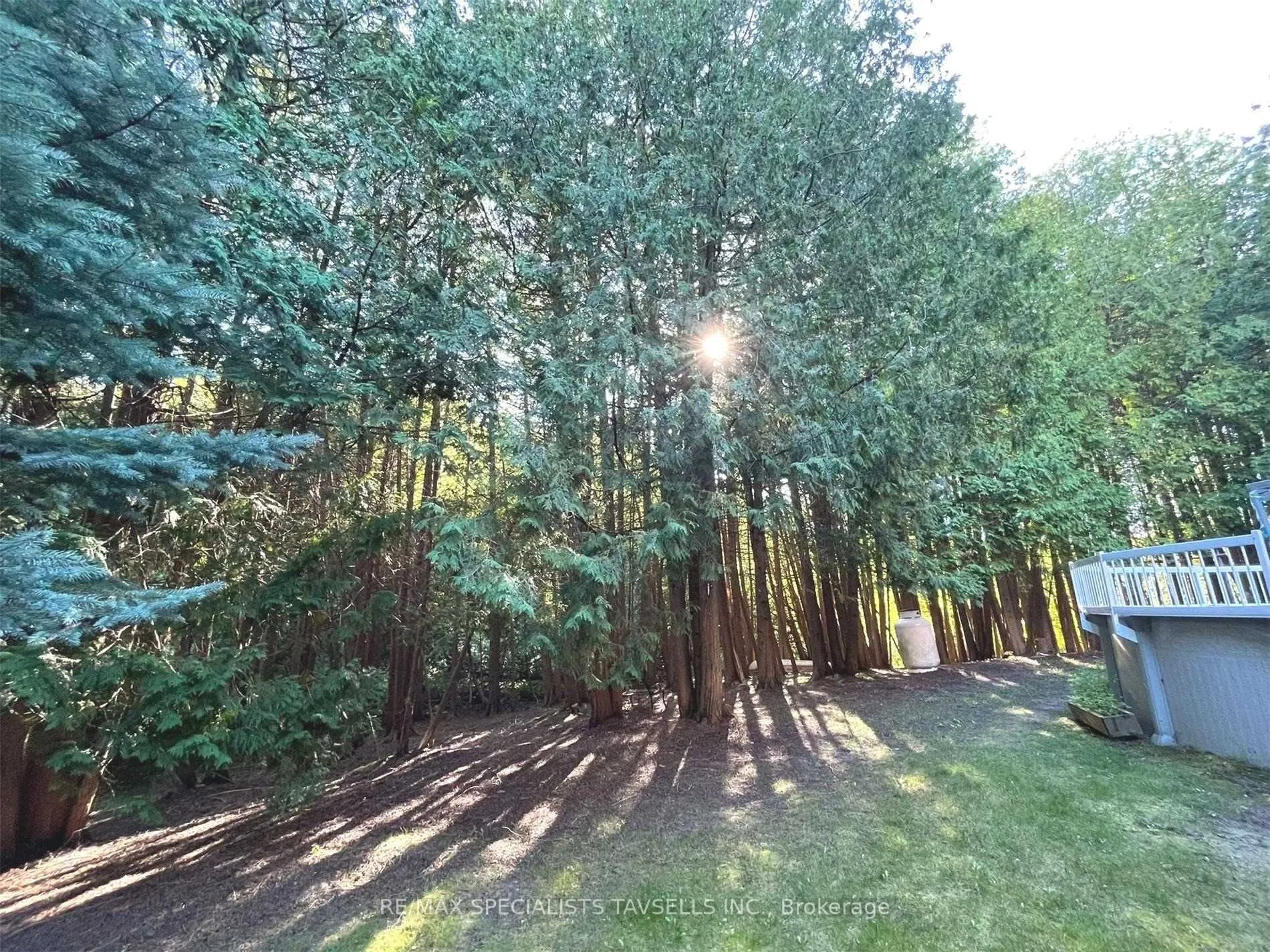 4 Sunshine Mountain Drive