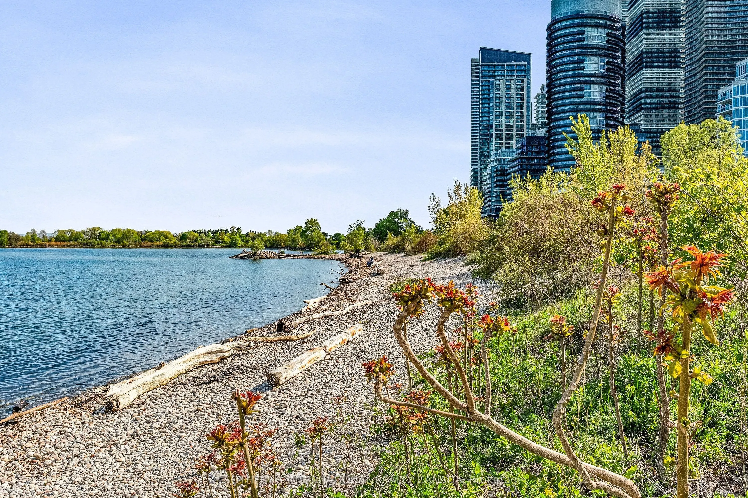 2095 Lake Shore Boulevard W, #818