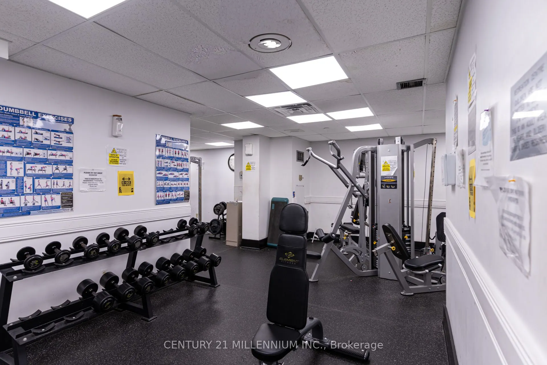 325 Webb Drive, #311