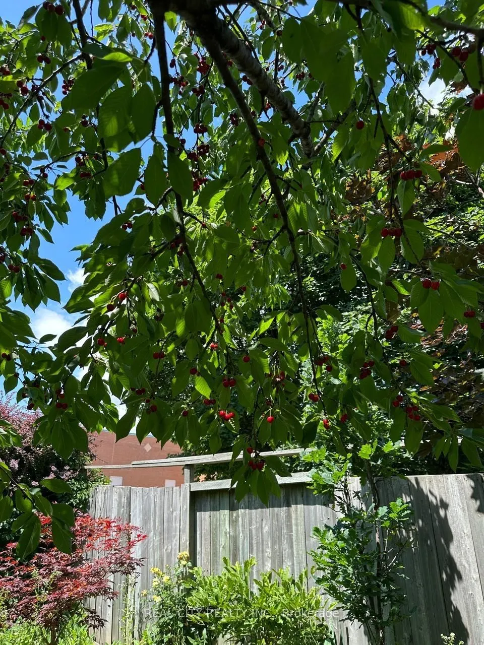 2451 Loanne Drive