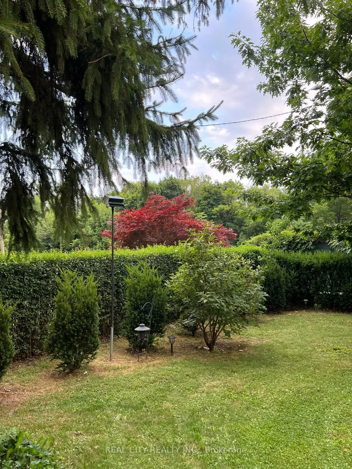 2451 Loanne Drive