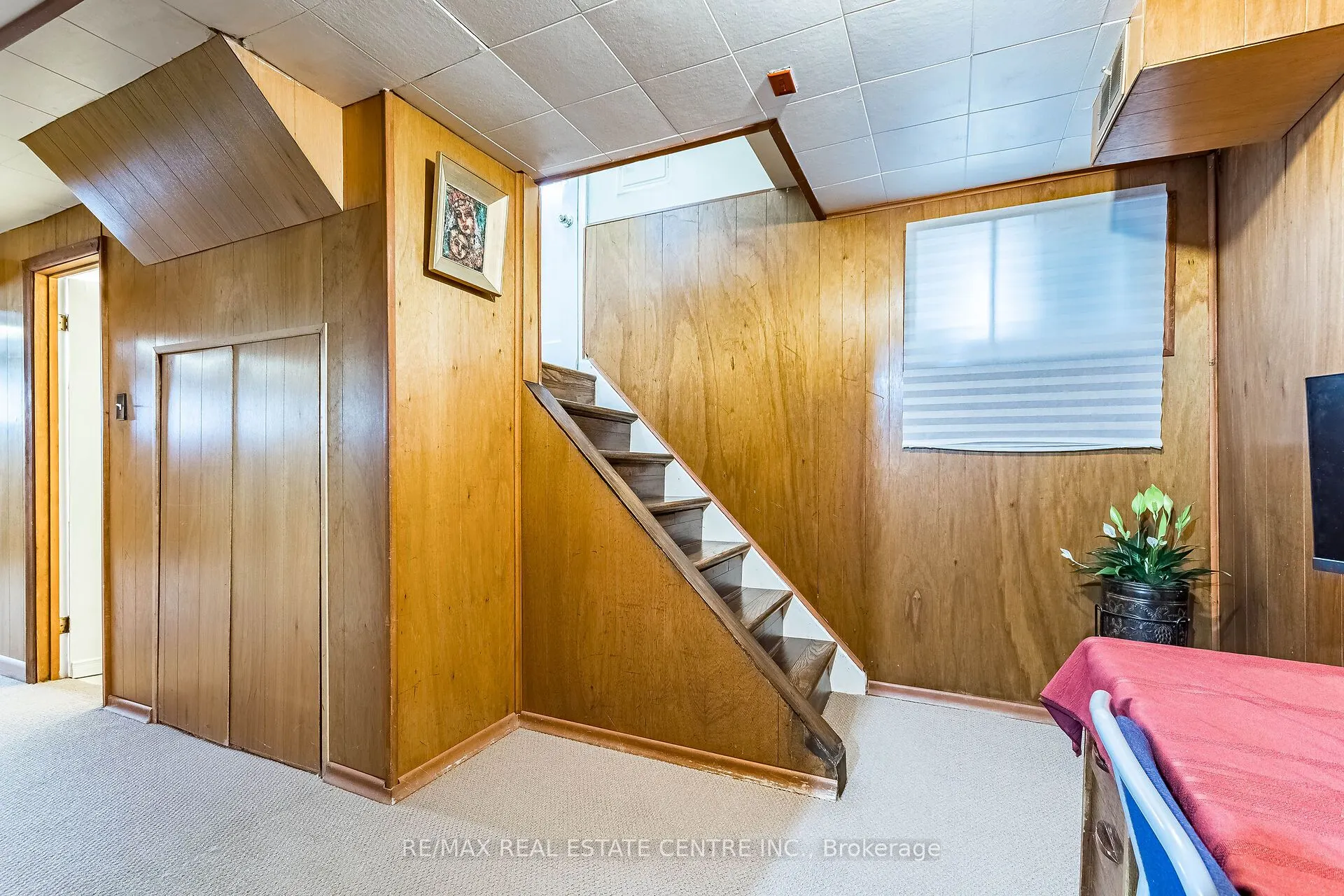 11 Velma Drive