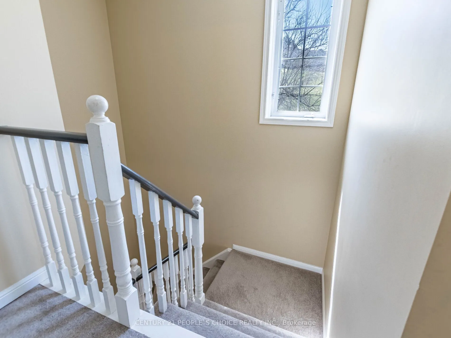 18 Palomino Trail, #9