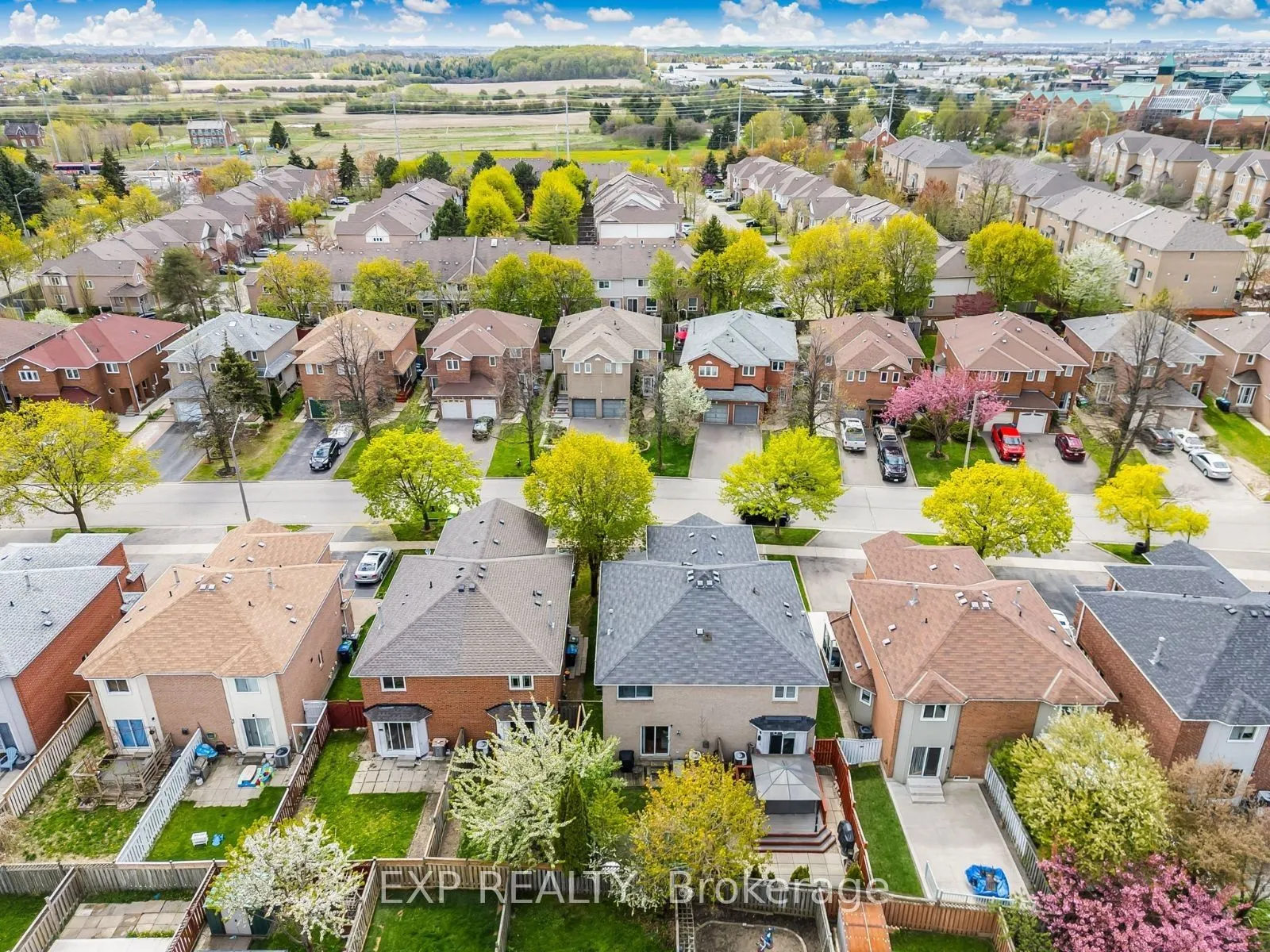 5547 Cortina Crescent