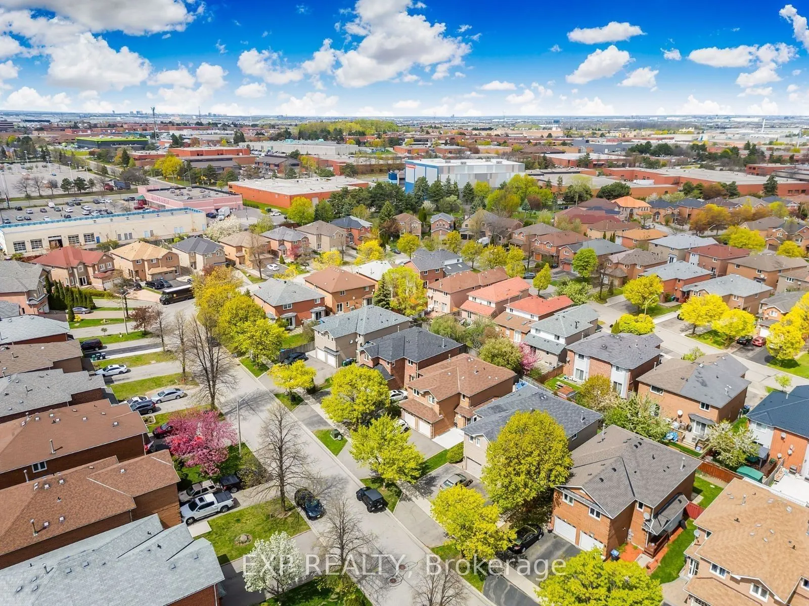 5547 Cortina Crescent