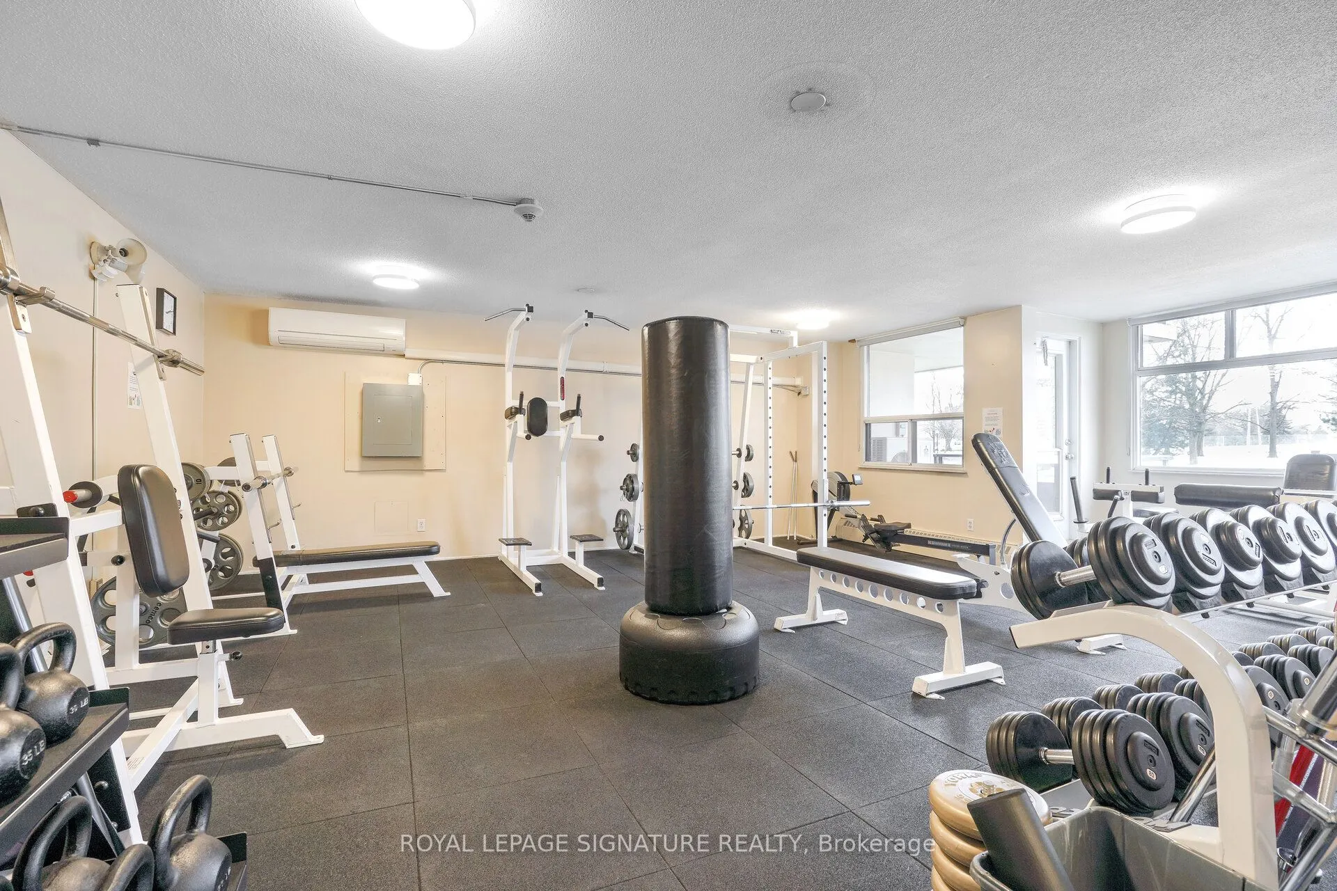 551 The West Mall, #1219