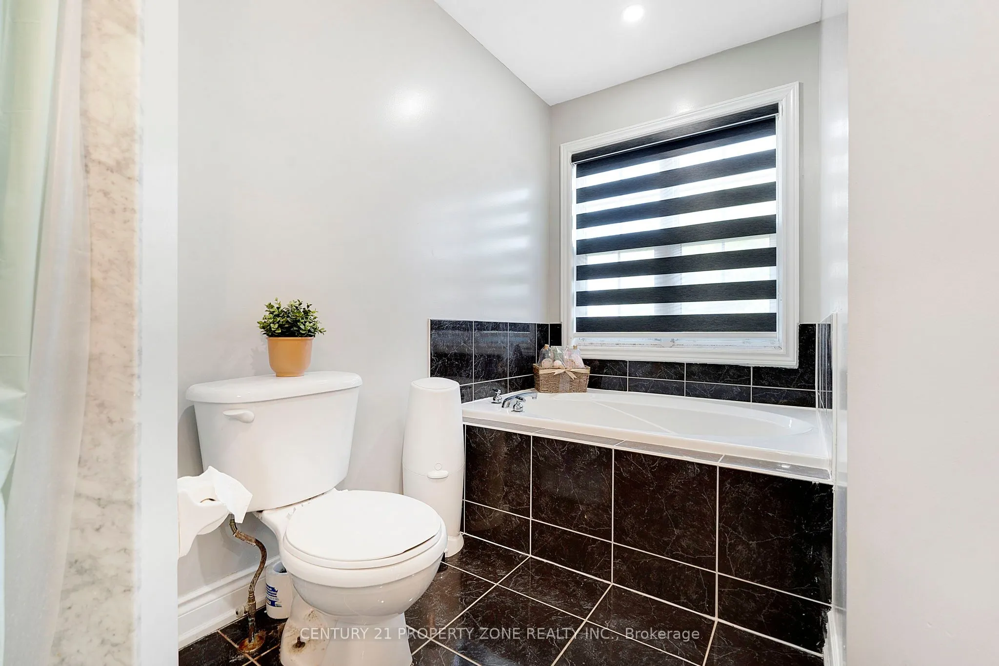 185 Brisdale Drive