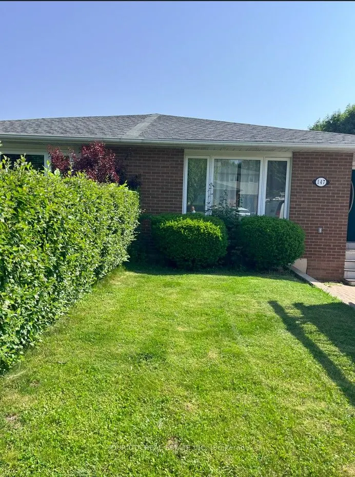 147 Bonham Blvd Boulevard, #Lower
