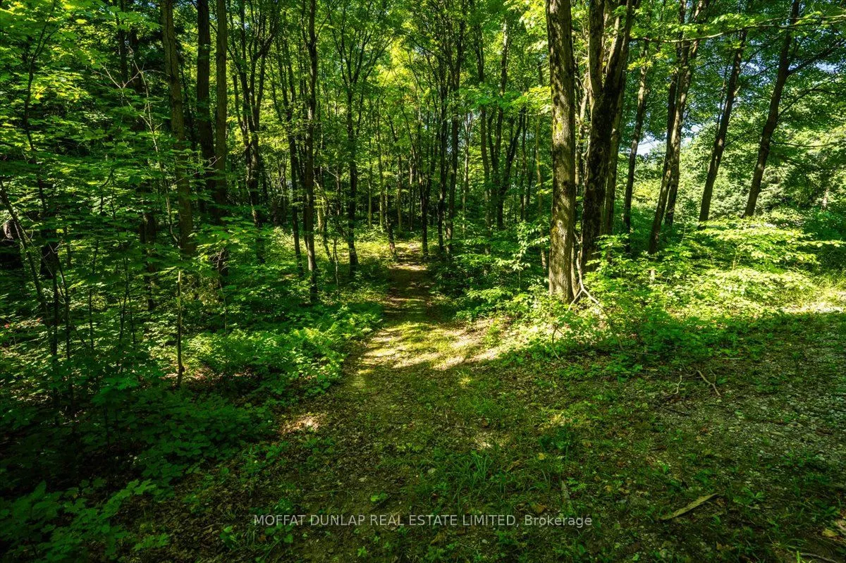 0000 Escarpment Side Road