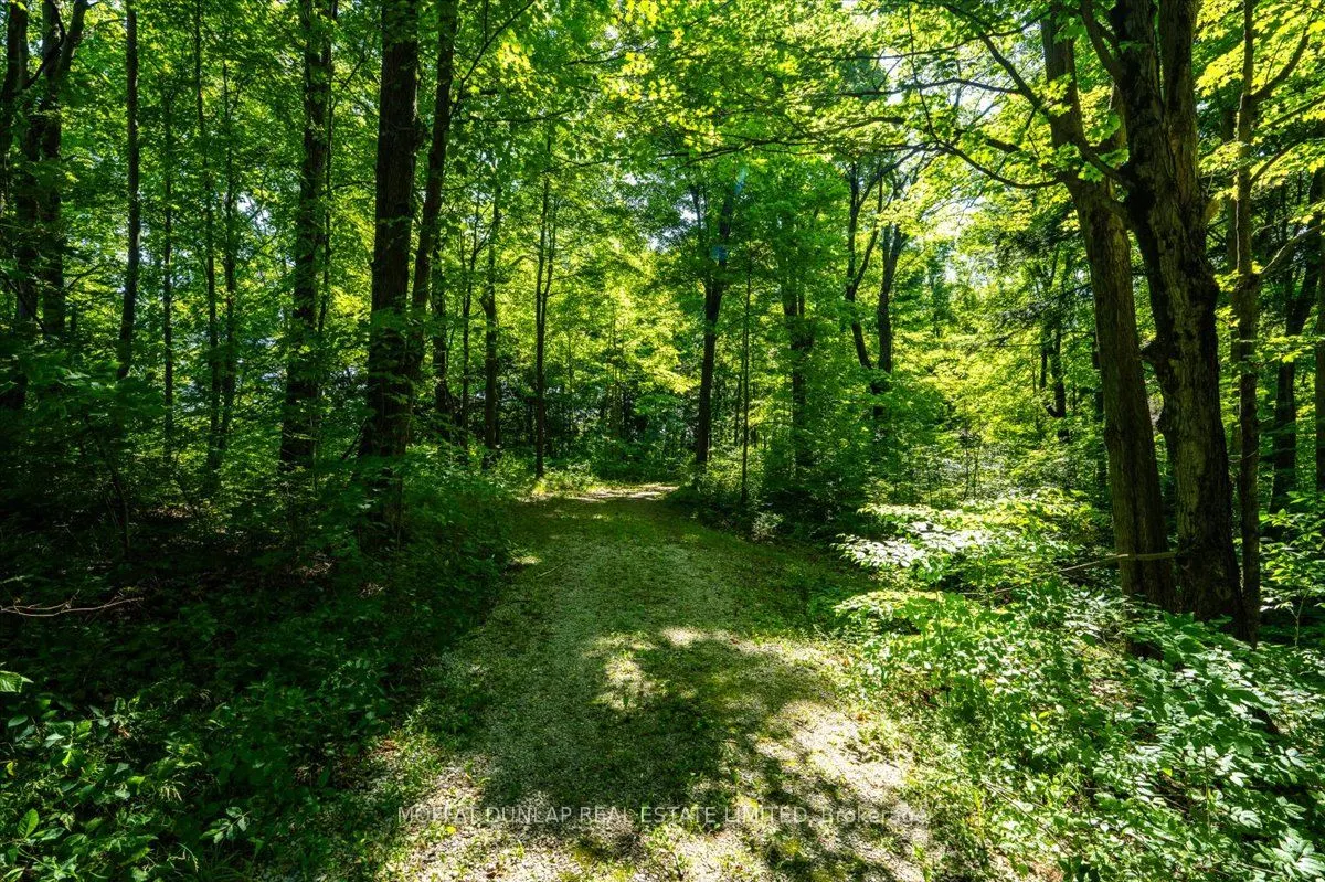0000 Escarpment Side Road