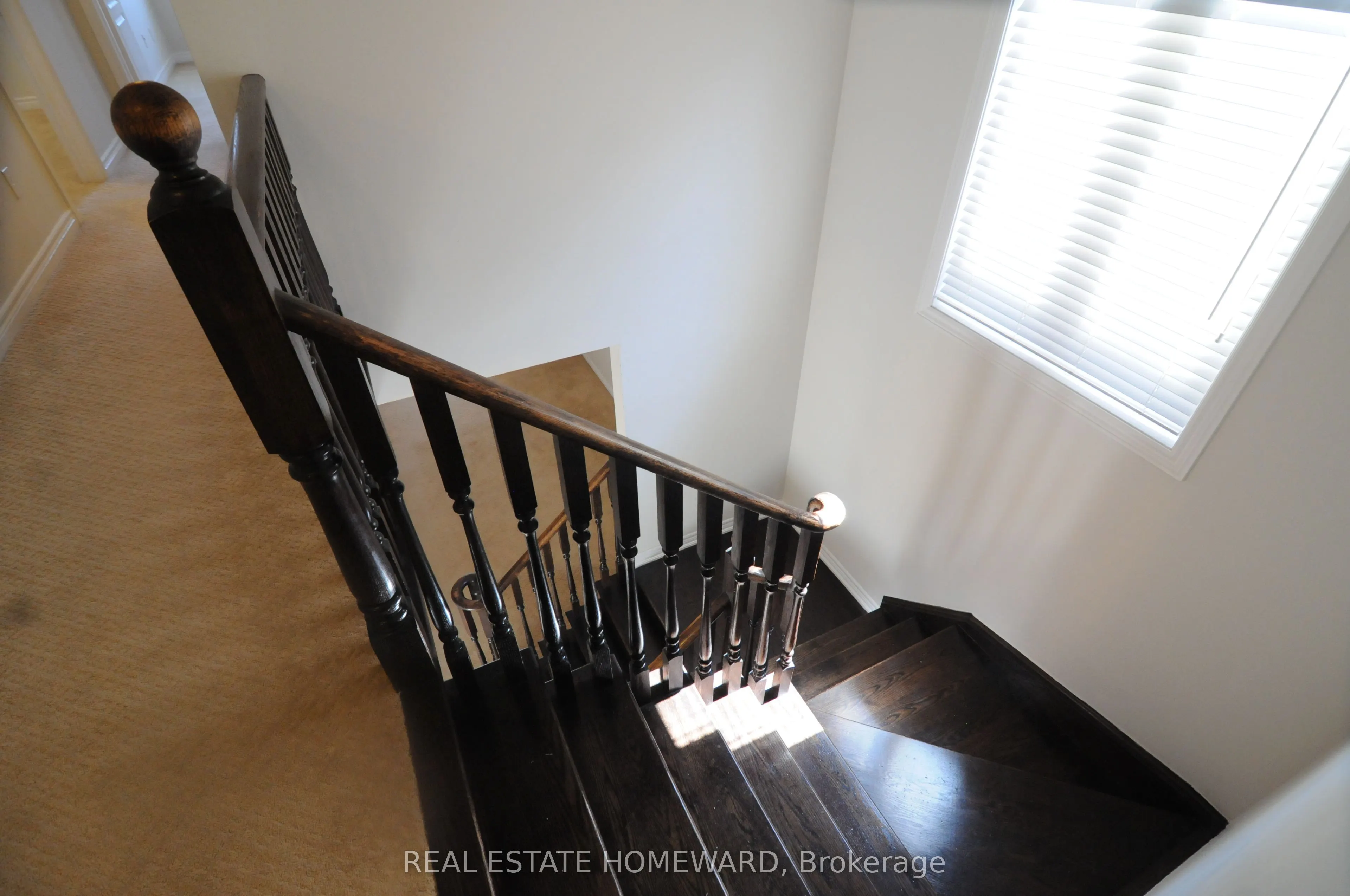 6 Hammerhead Road