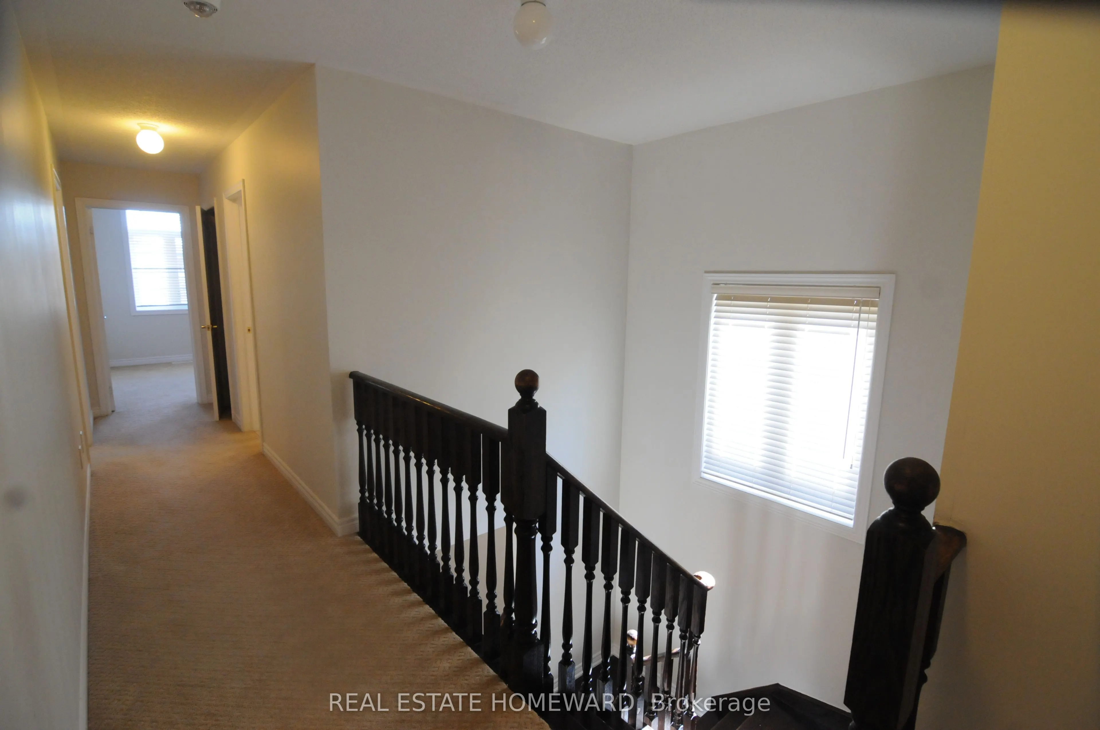 6 Hammerhead Road