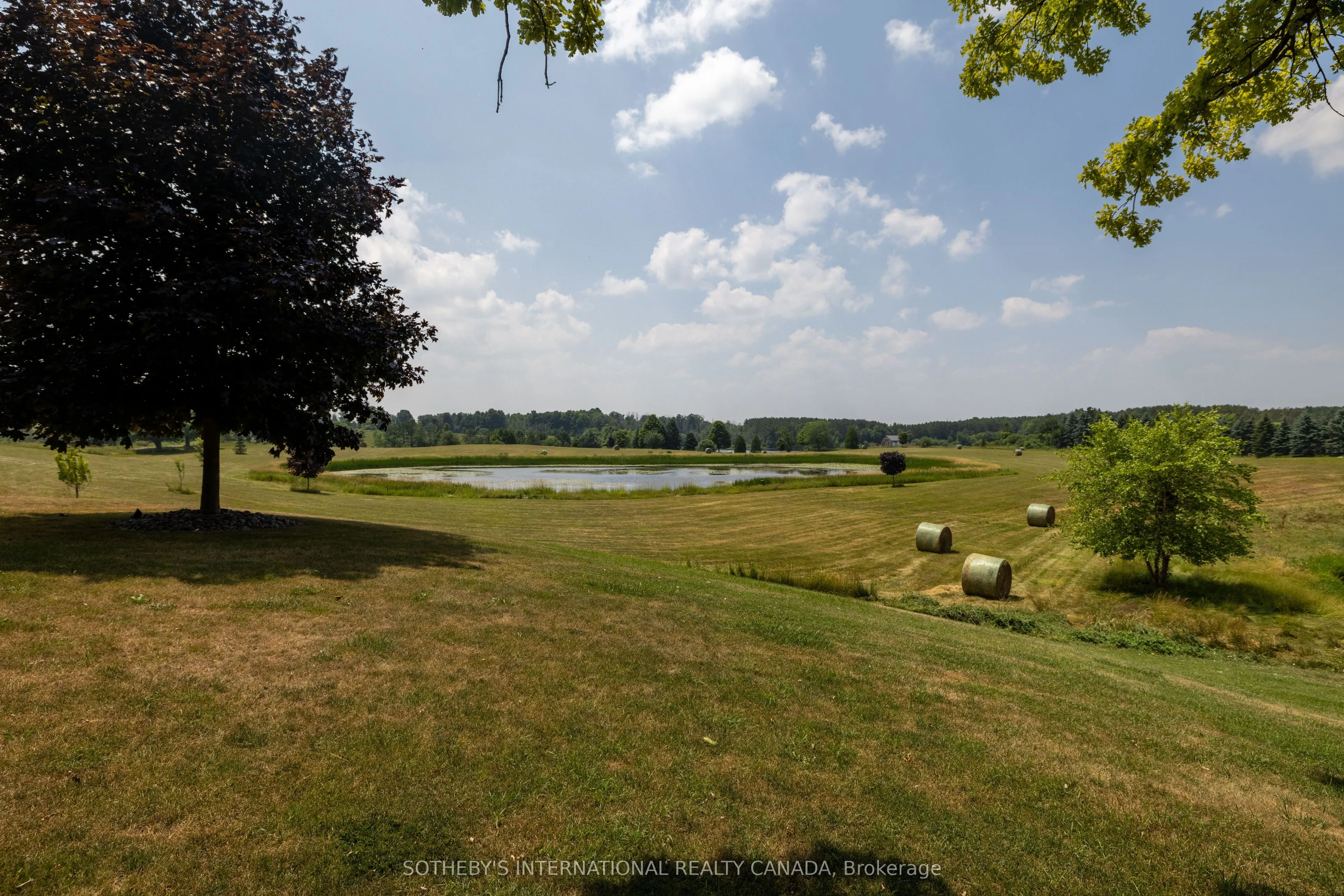 15366 The Gore Road