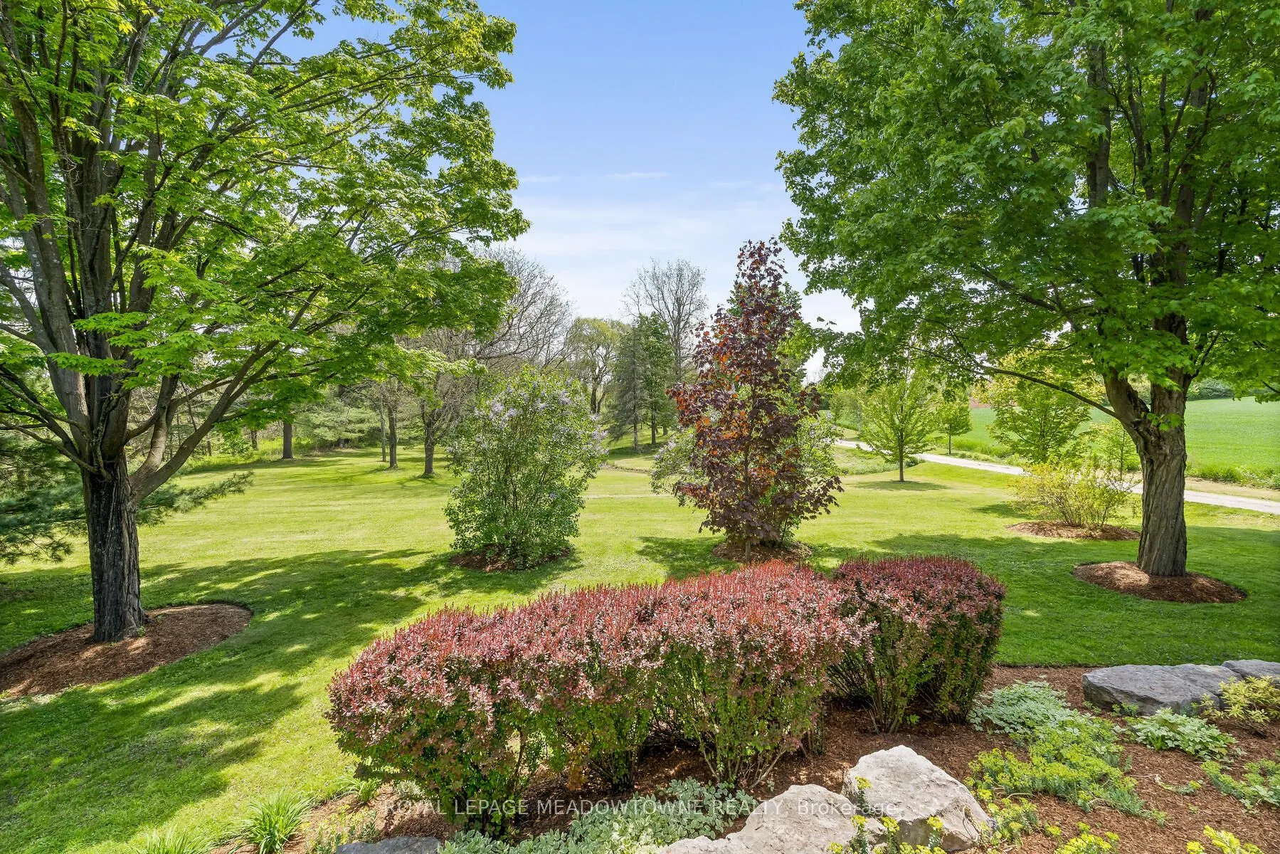 10319 15 Side Road