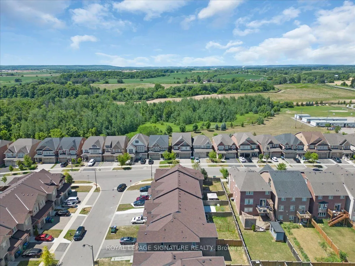 71 Phyllis Drive