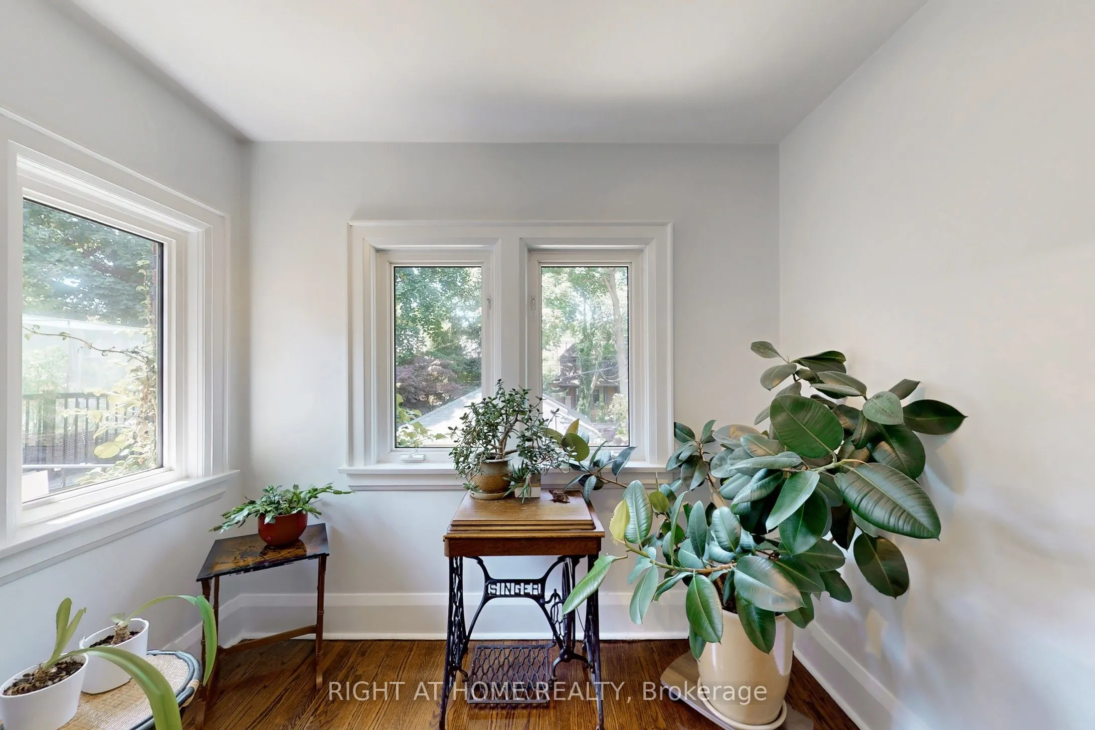 46 Jackson Avenue