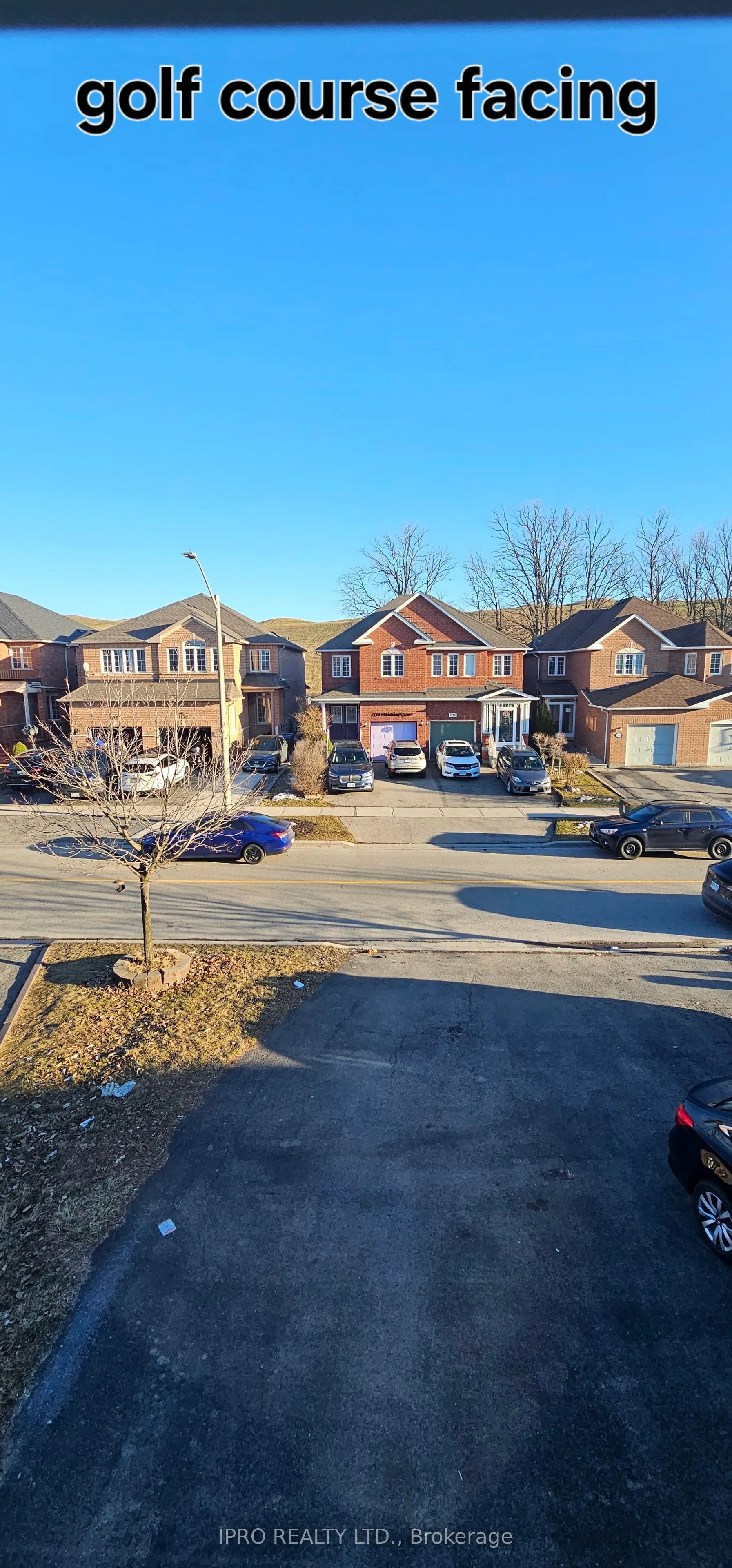 1133 Windbrook Grove