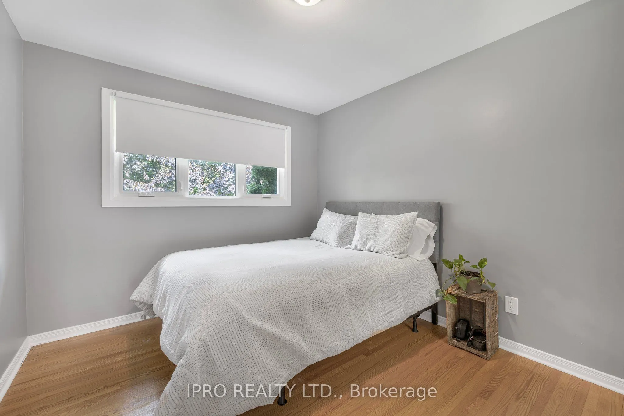 8 Glenforest Street