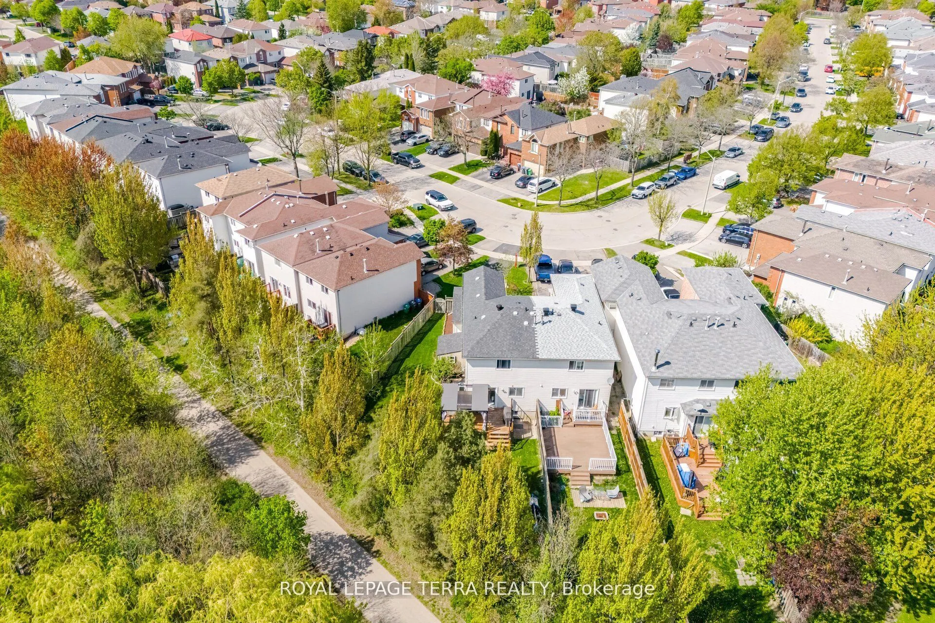 3407 Nighthawk Trail