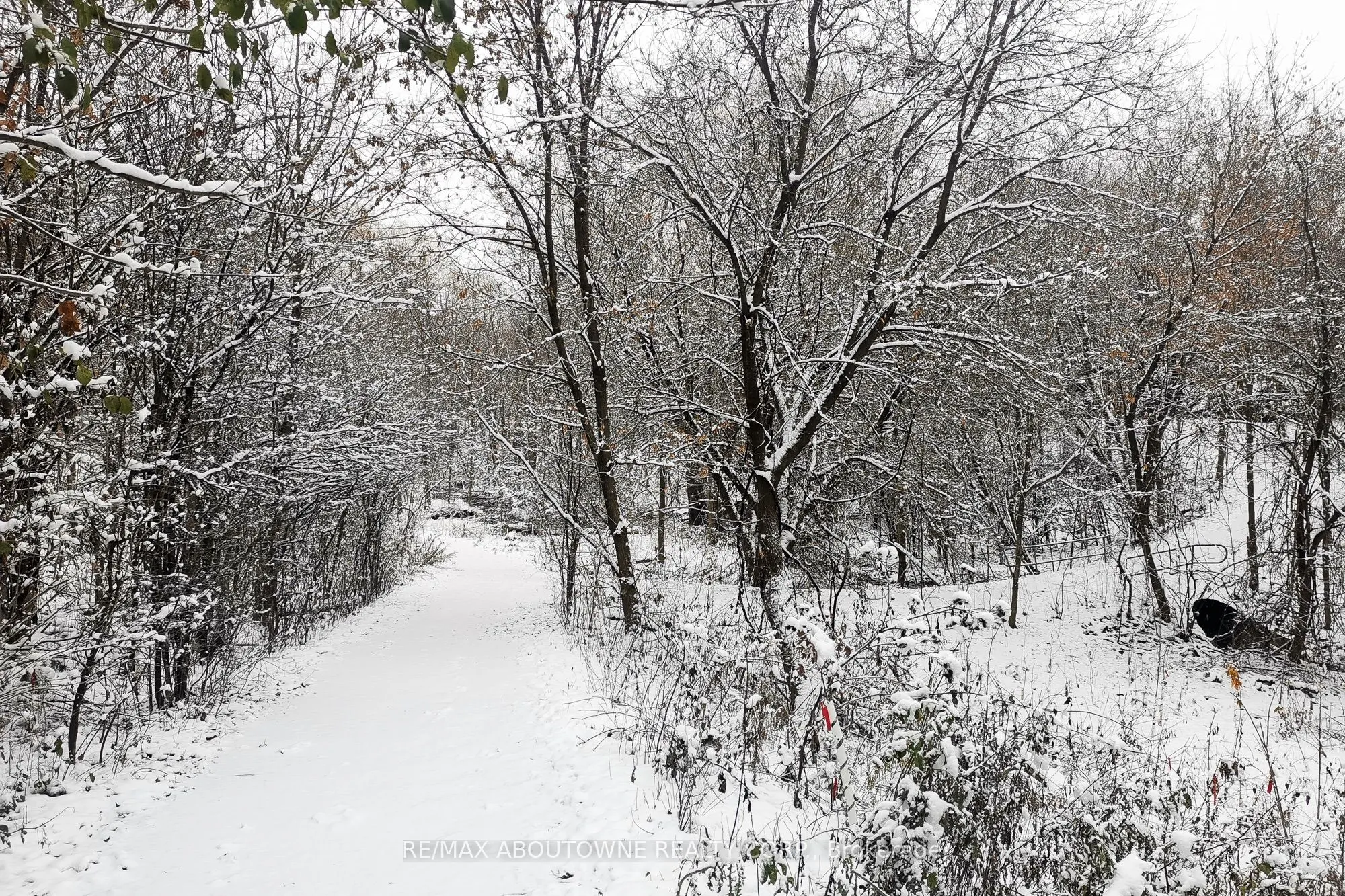 1356 Monks Pass