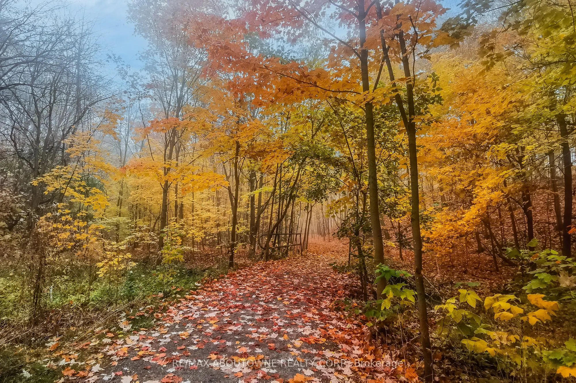 1356 Monks Pass