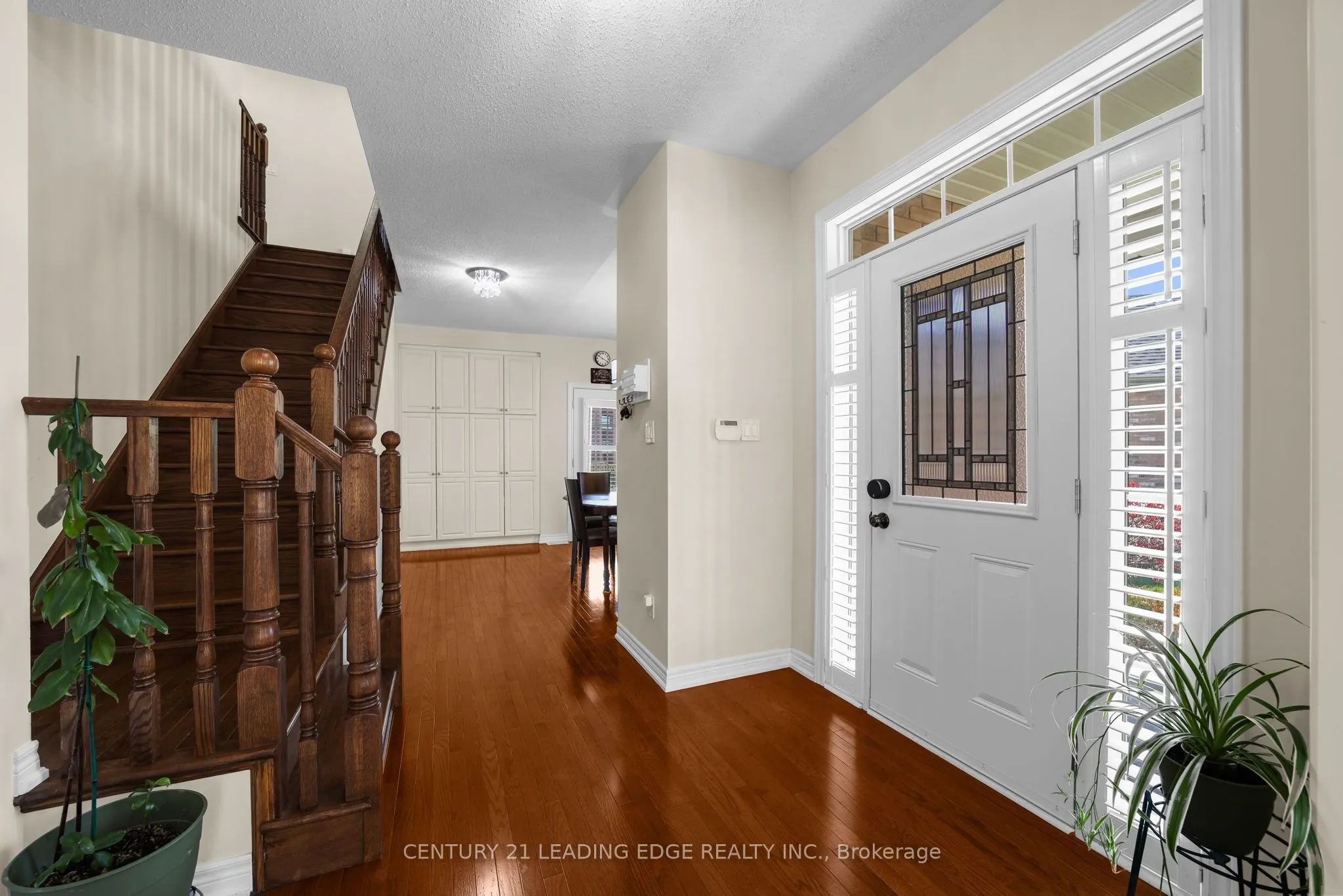 35 Lobelia Street #4