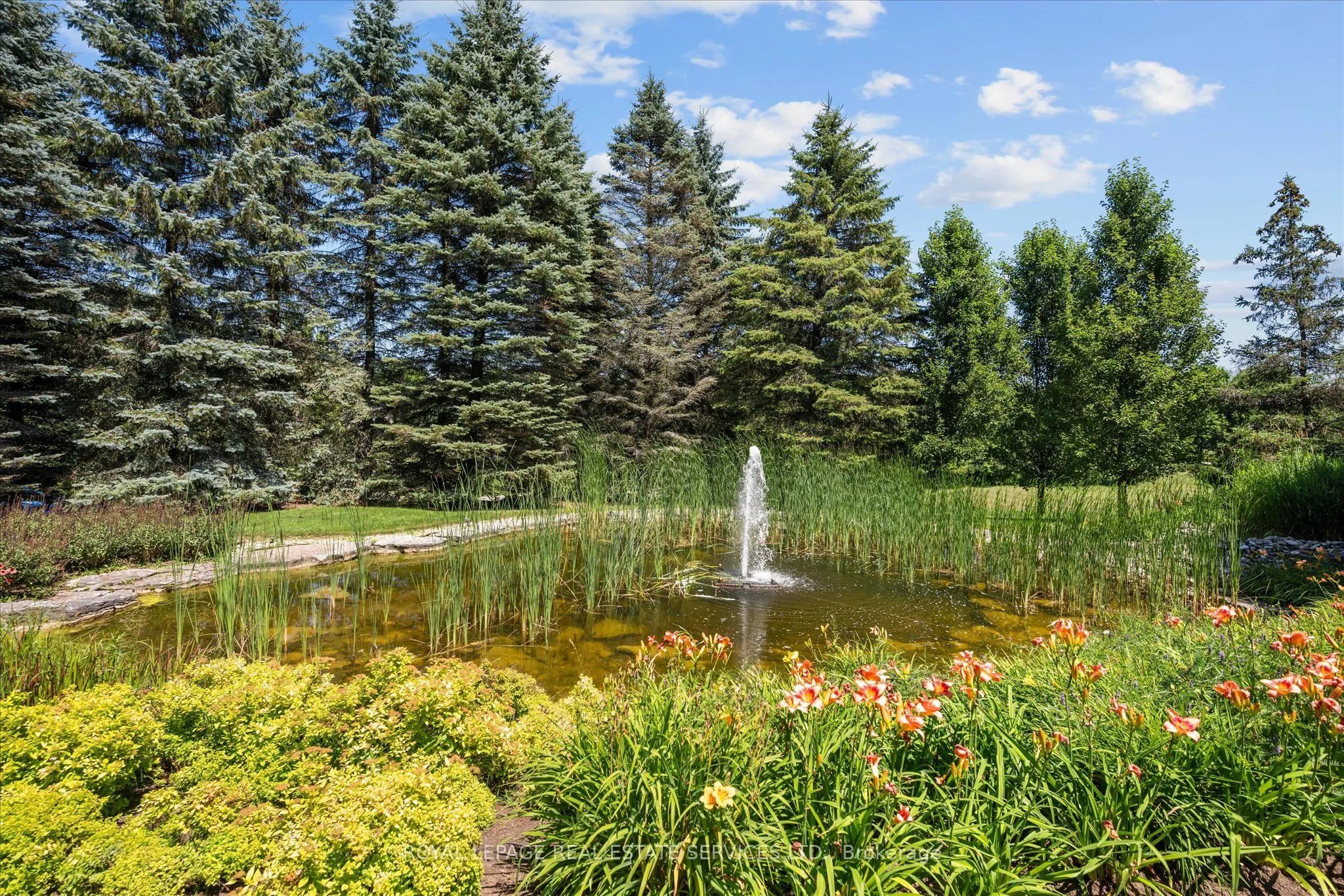 10090 Pineview Trail