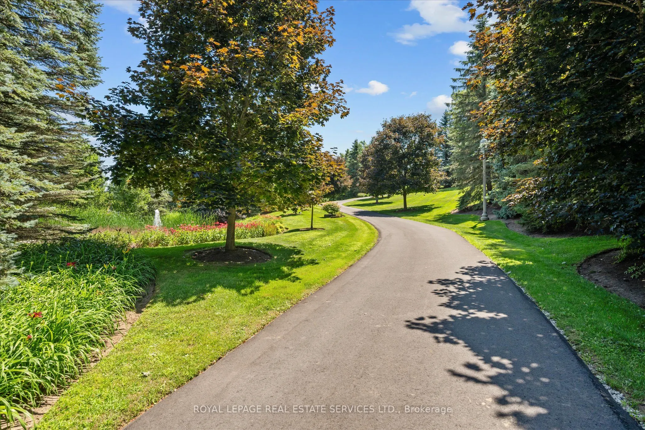 10090 Pineview Trail