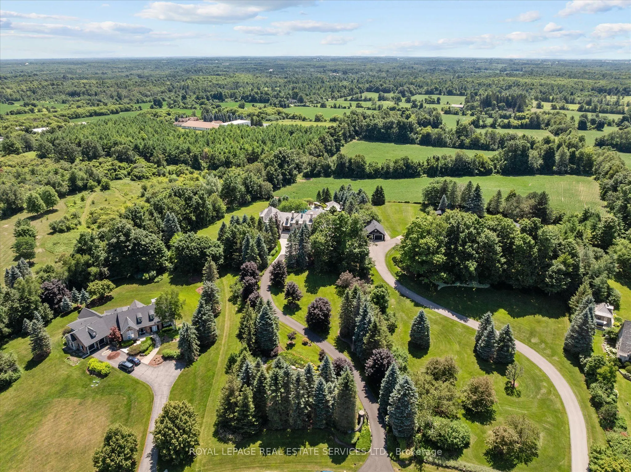 10090 Pineview Trail