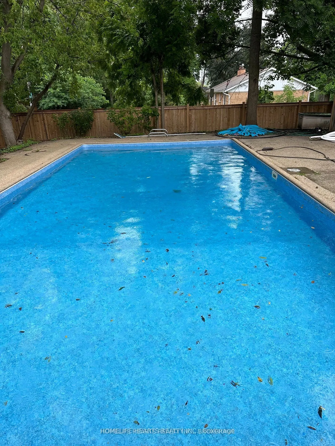 271 Wedgewood Drive