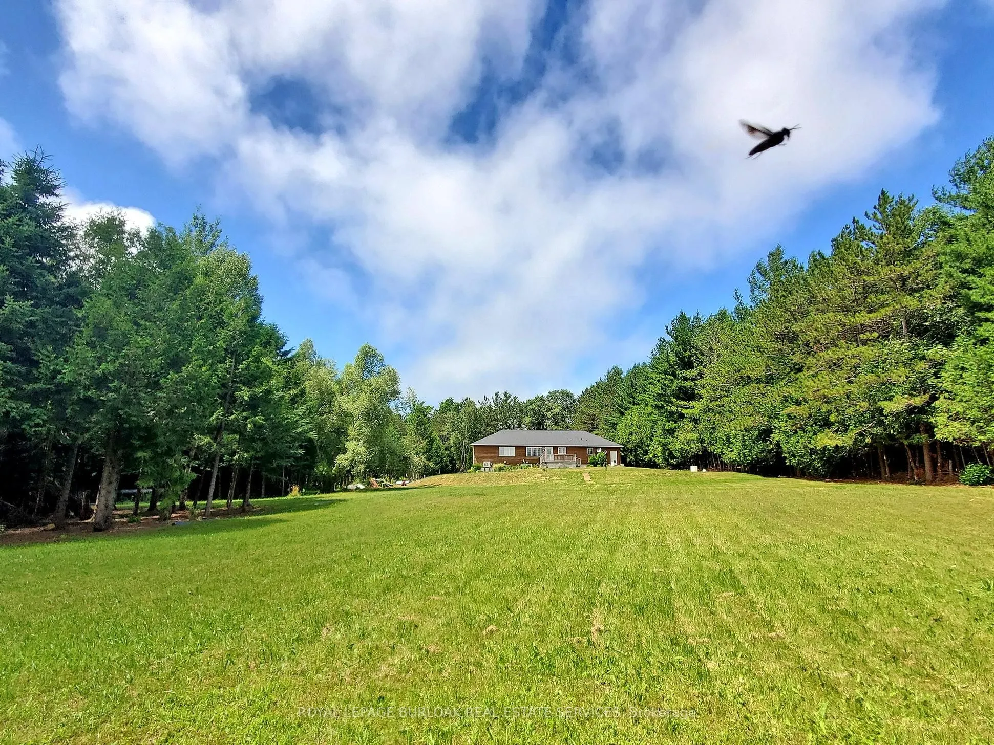 569 Highpoint Side Road